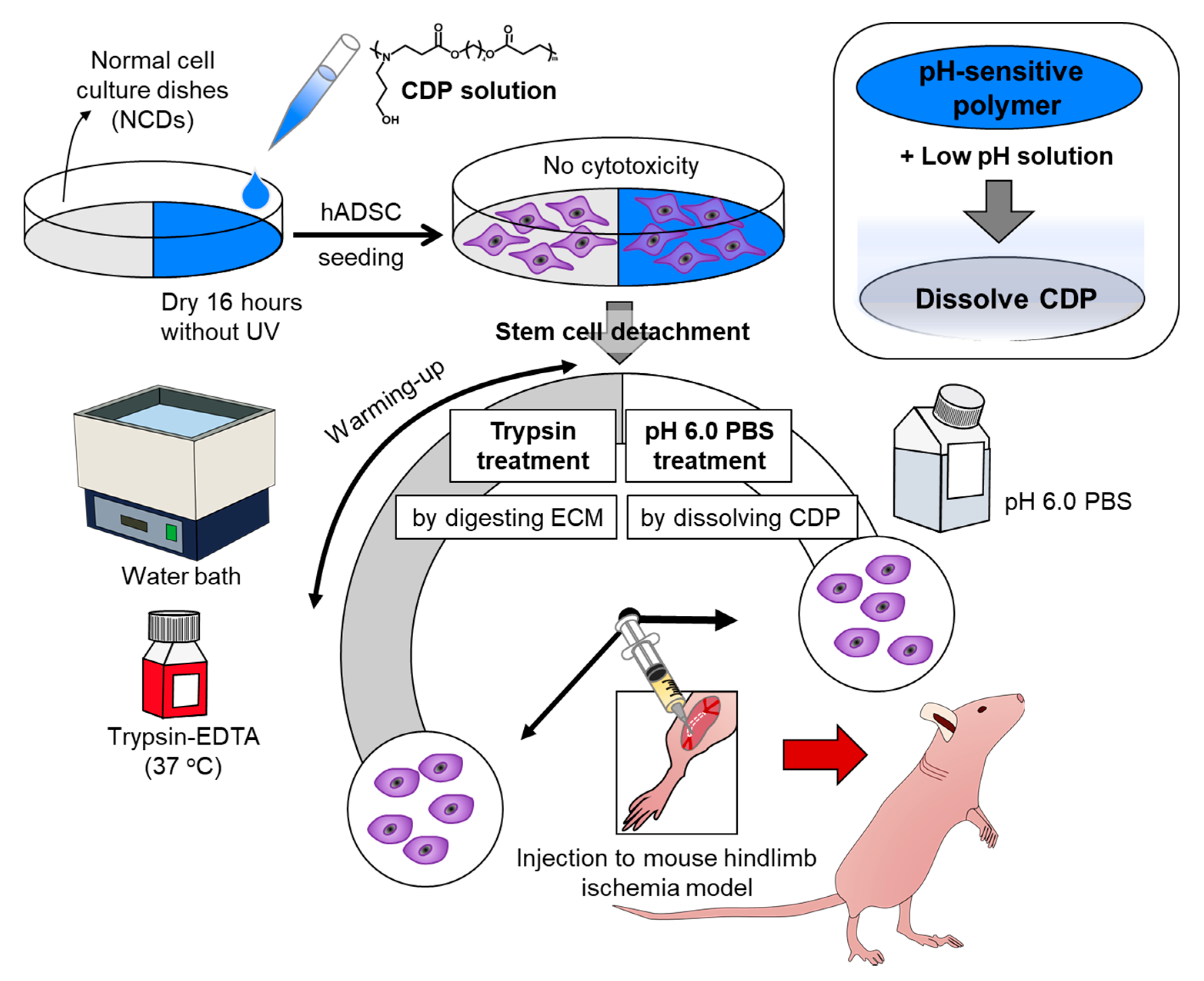 Materials 14 00491 g001