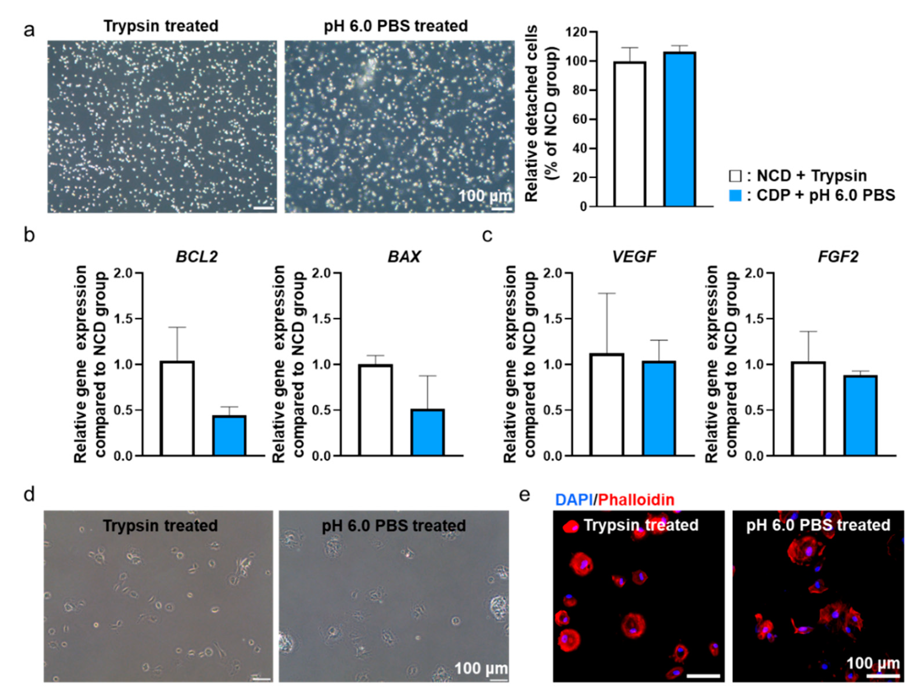 Materials 14 00491 g004