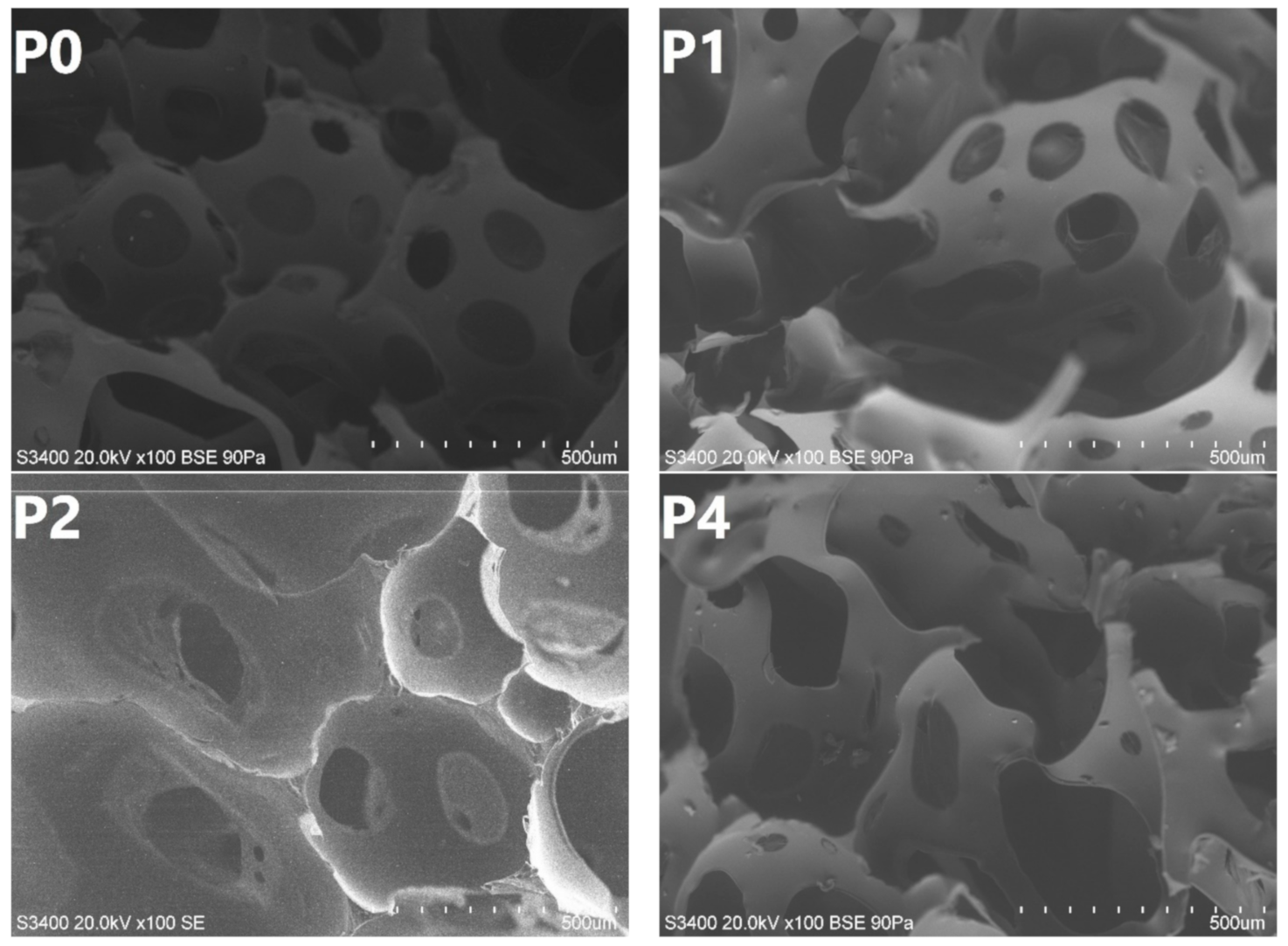 Materials 14 00499 g009a