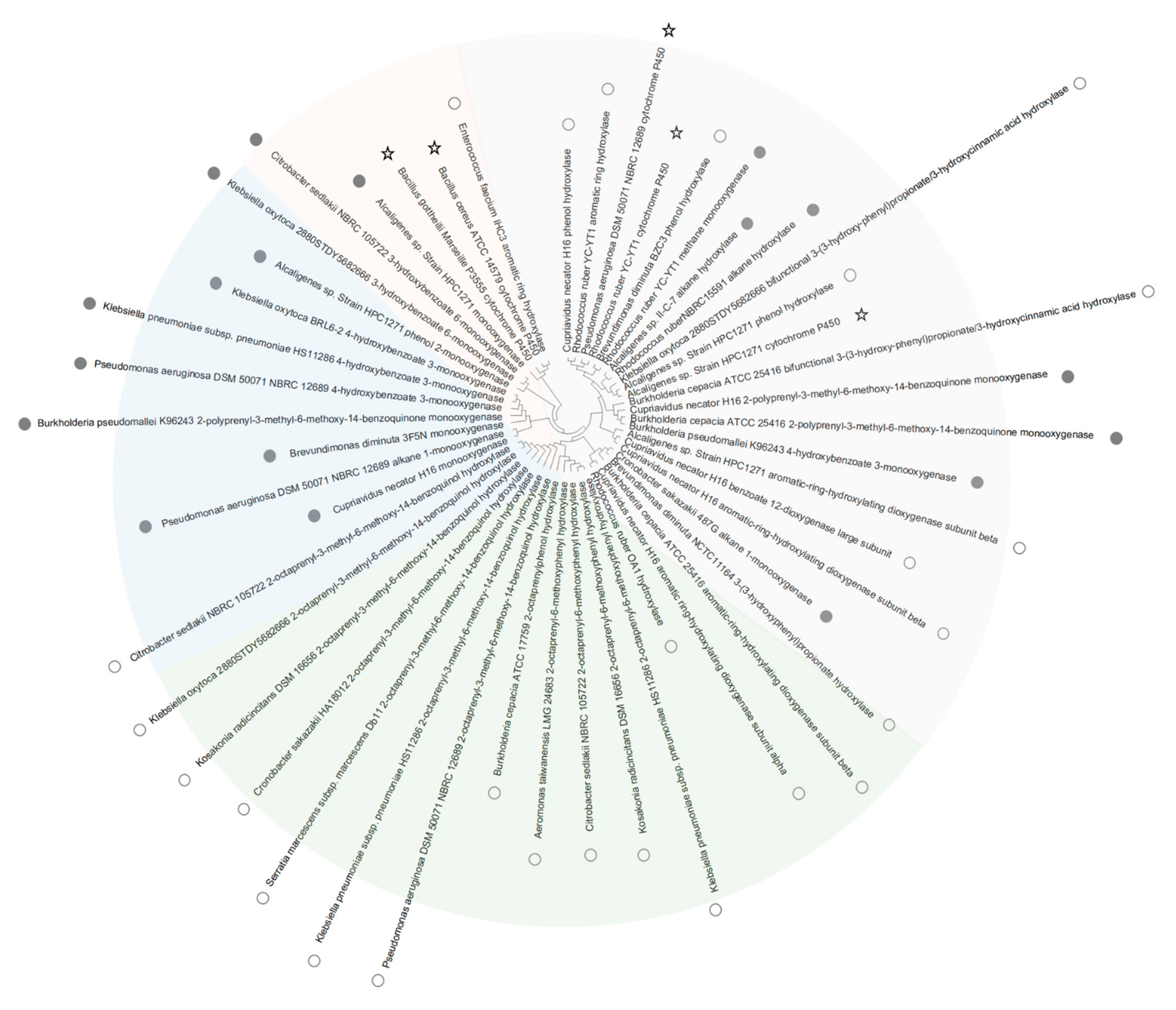 Materials 14 00503 g003