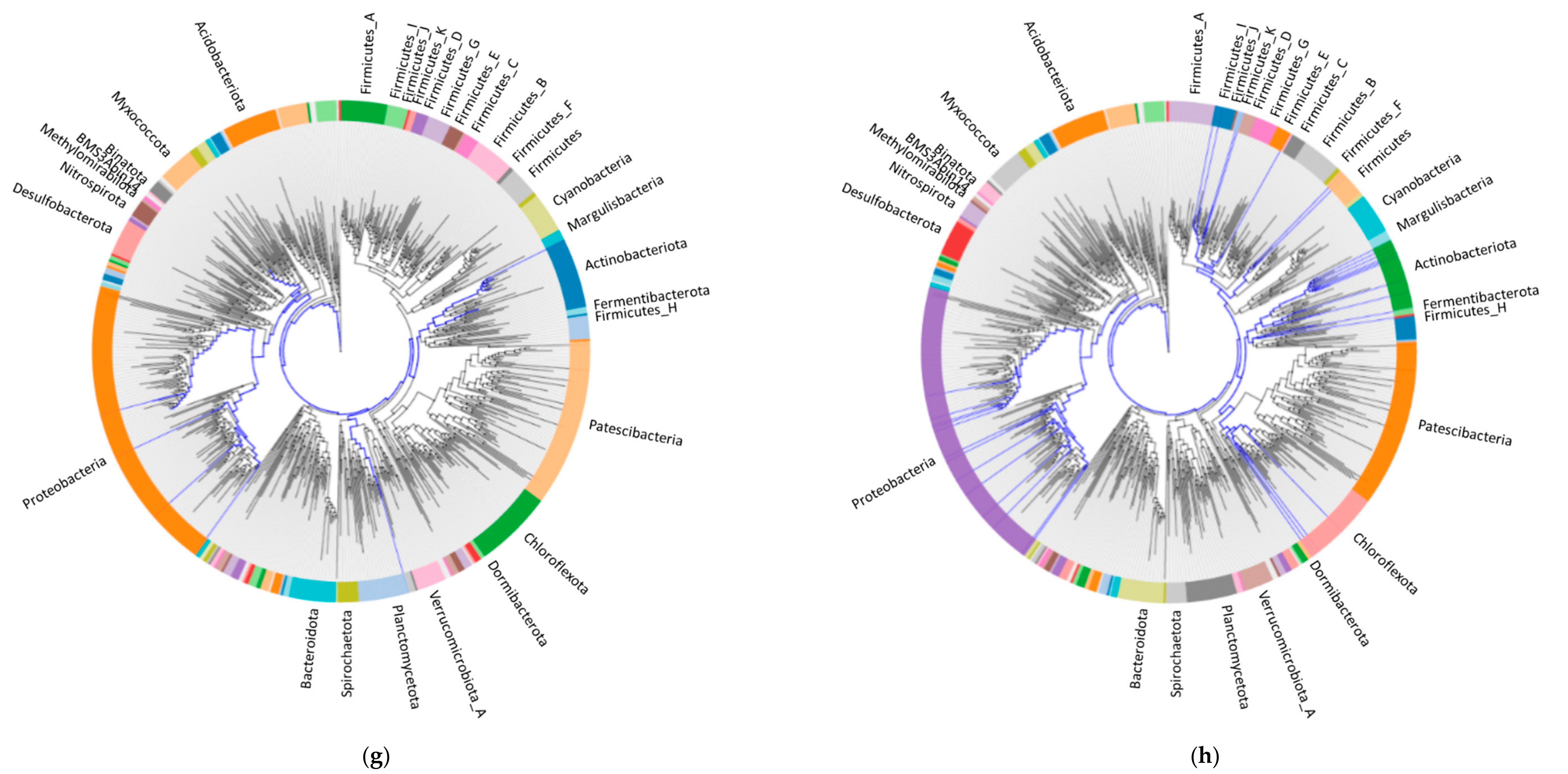 Materials 14 00503 g004d