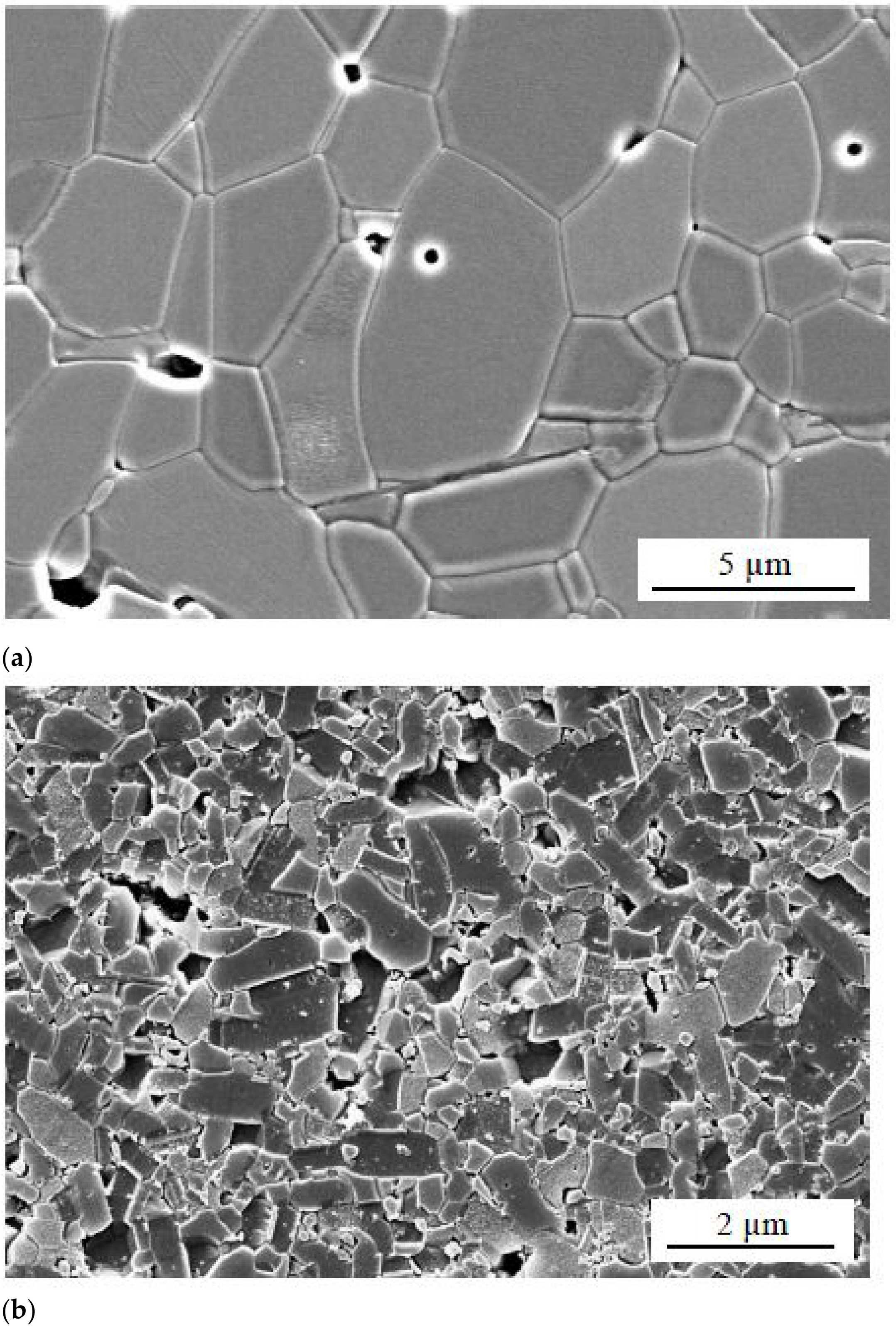 Materials 14 00521 g005