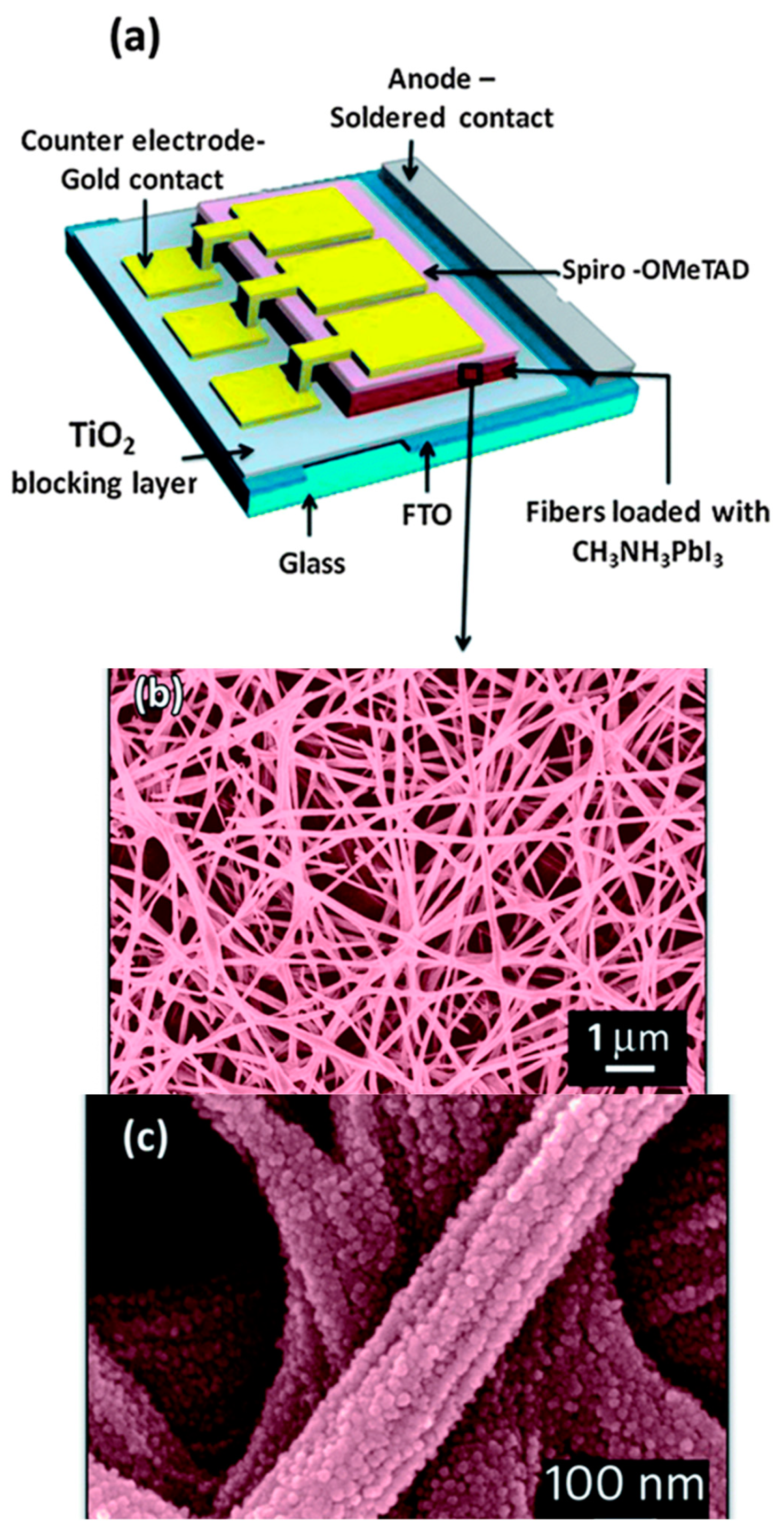 Materials 14 00558 g002
