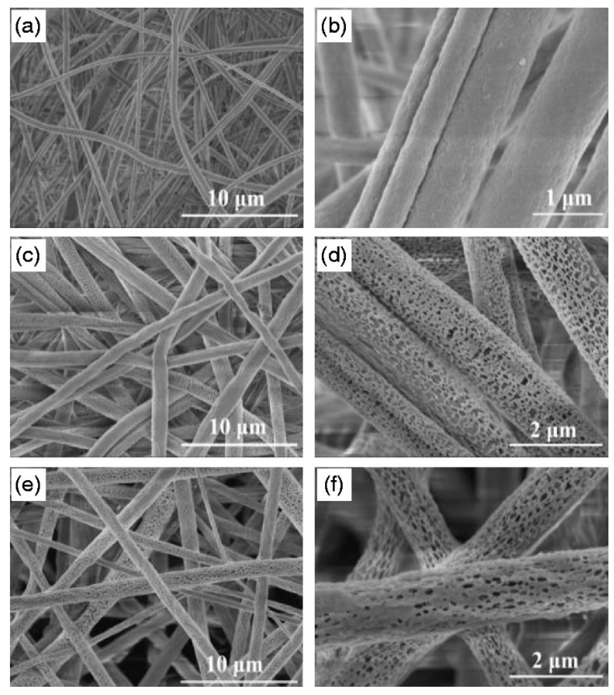 Materials 14 00558 g008