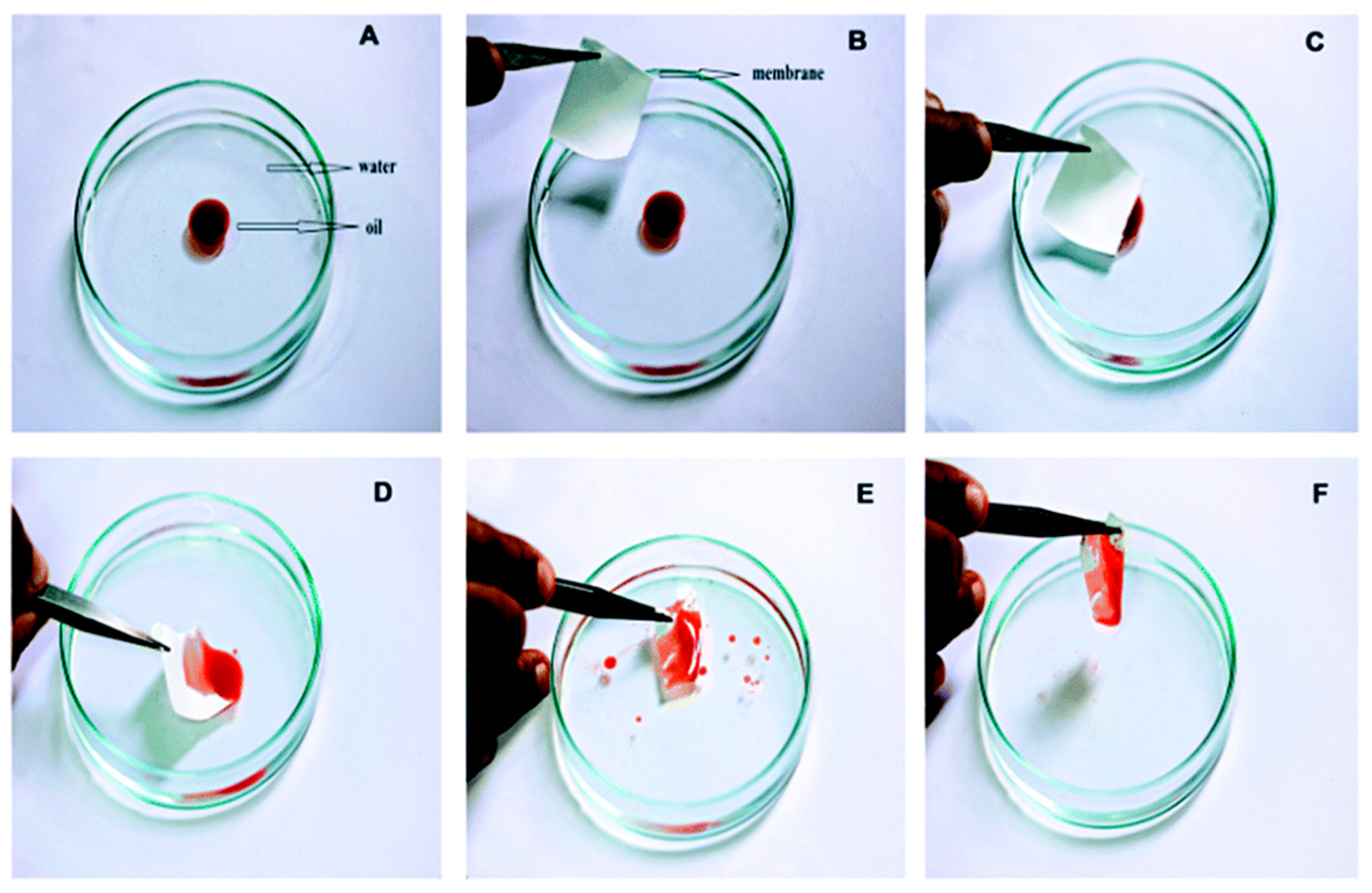 Materials 14 00558 g009