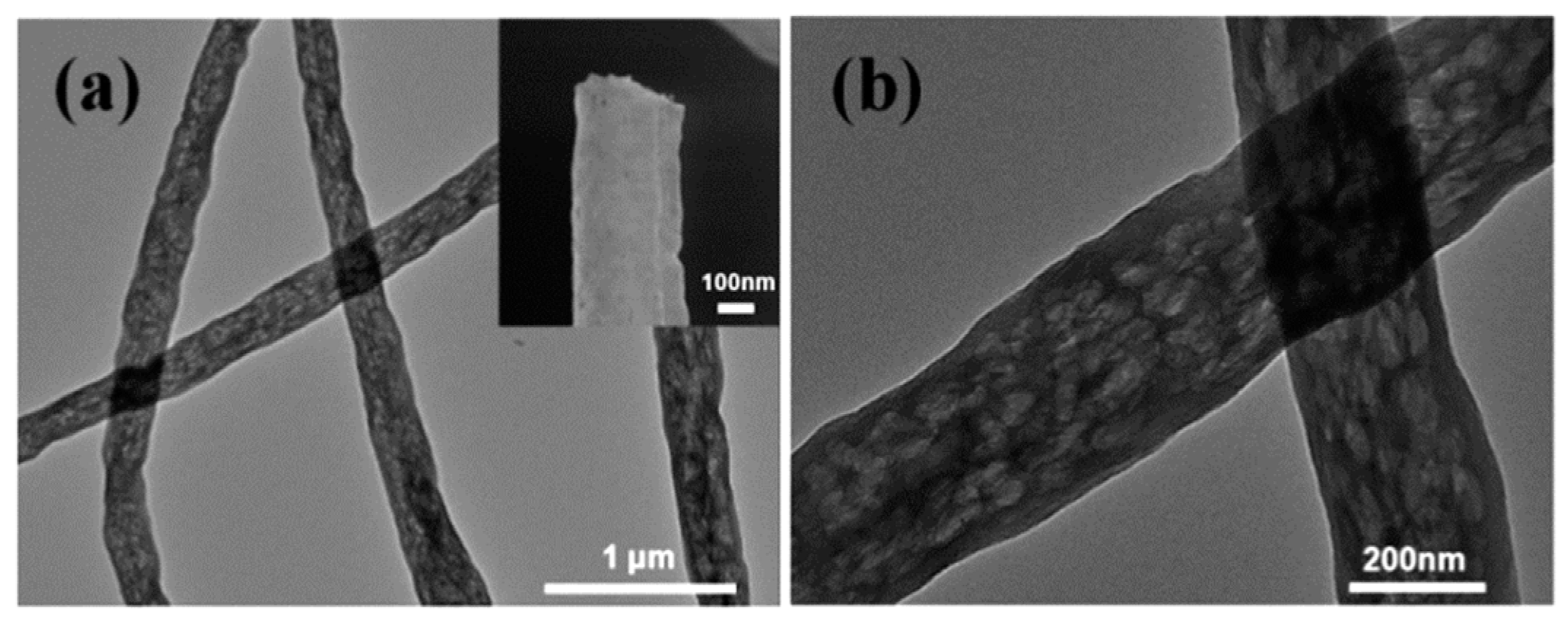 Materials 14 00558 g010