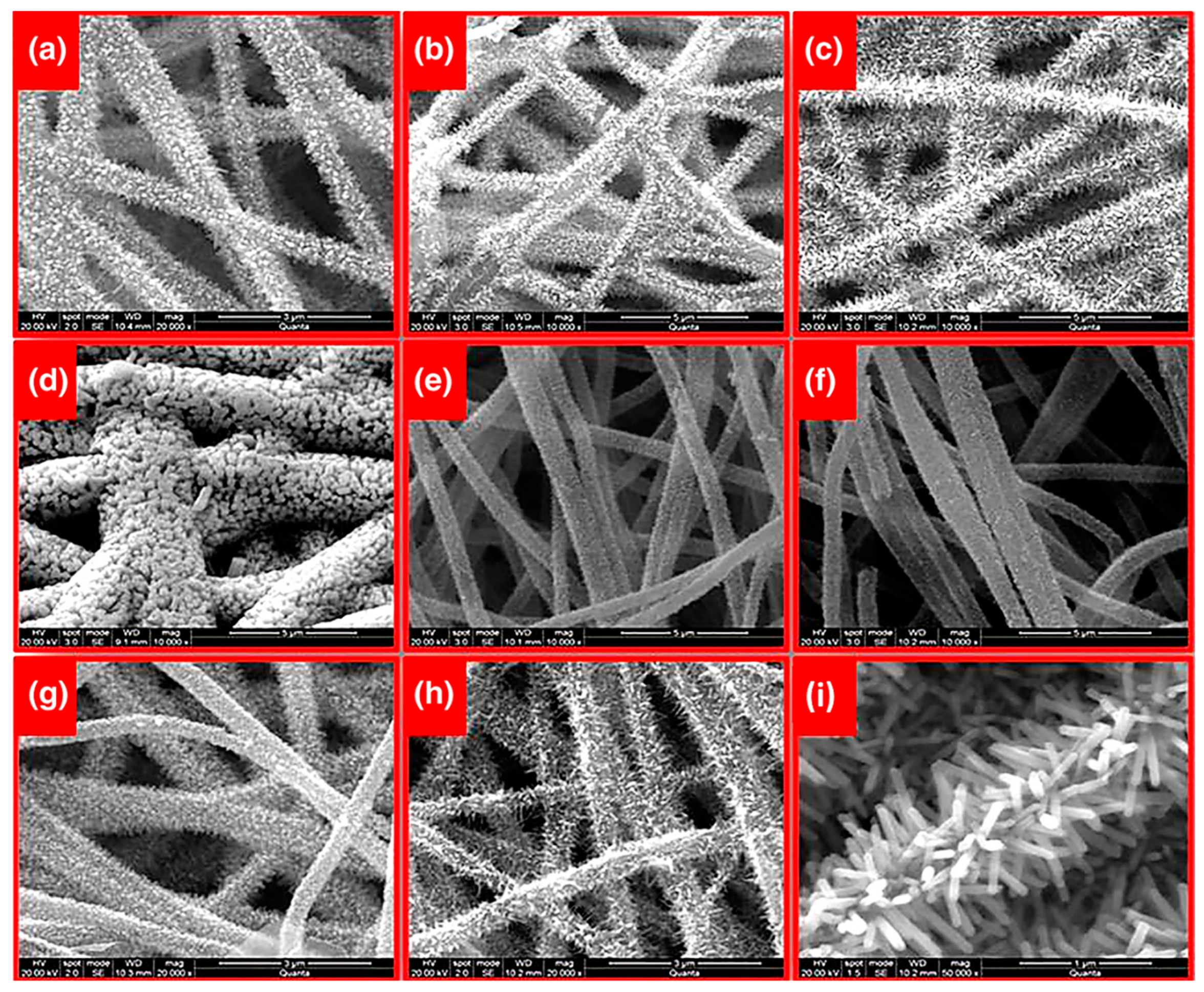 Materials 14 00558 g013