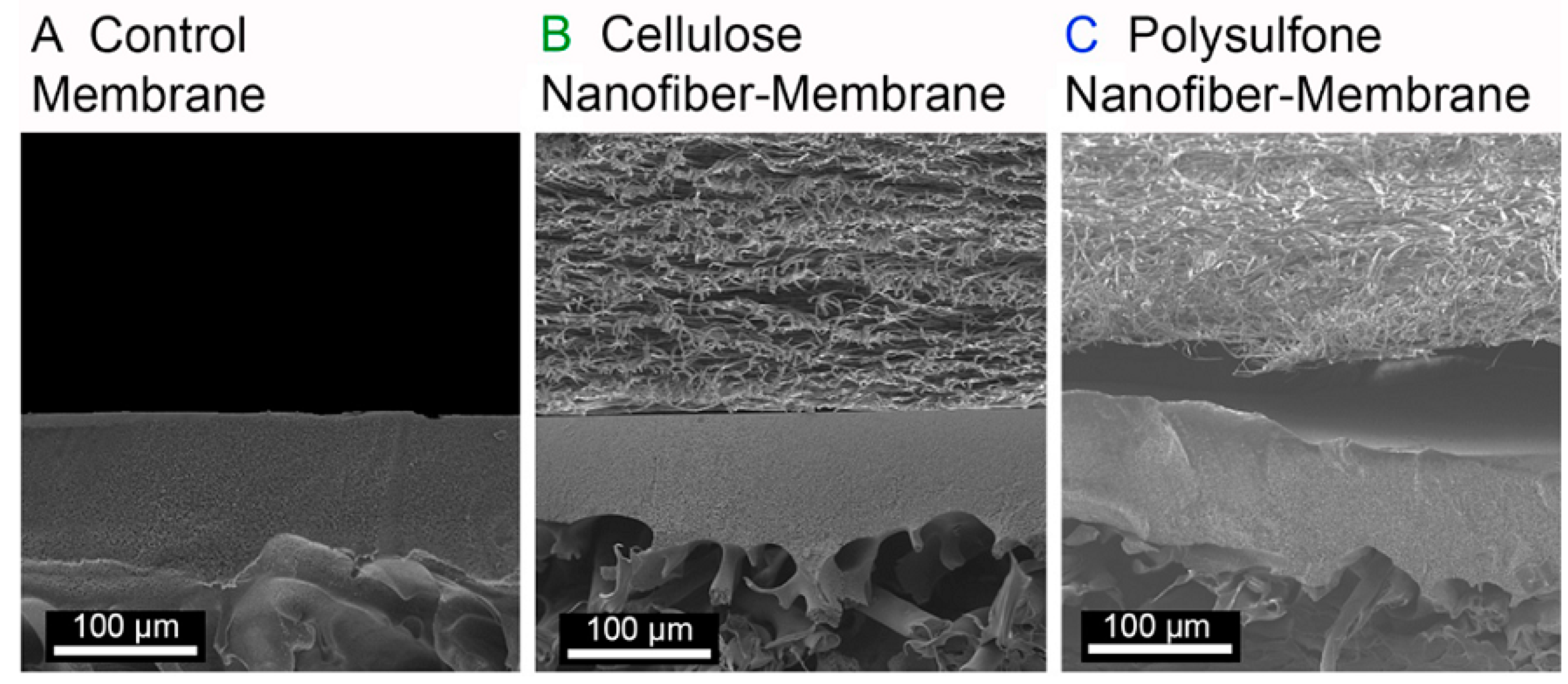Materials 14 00558 g017