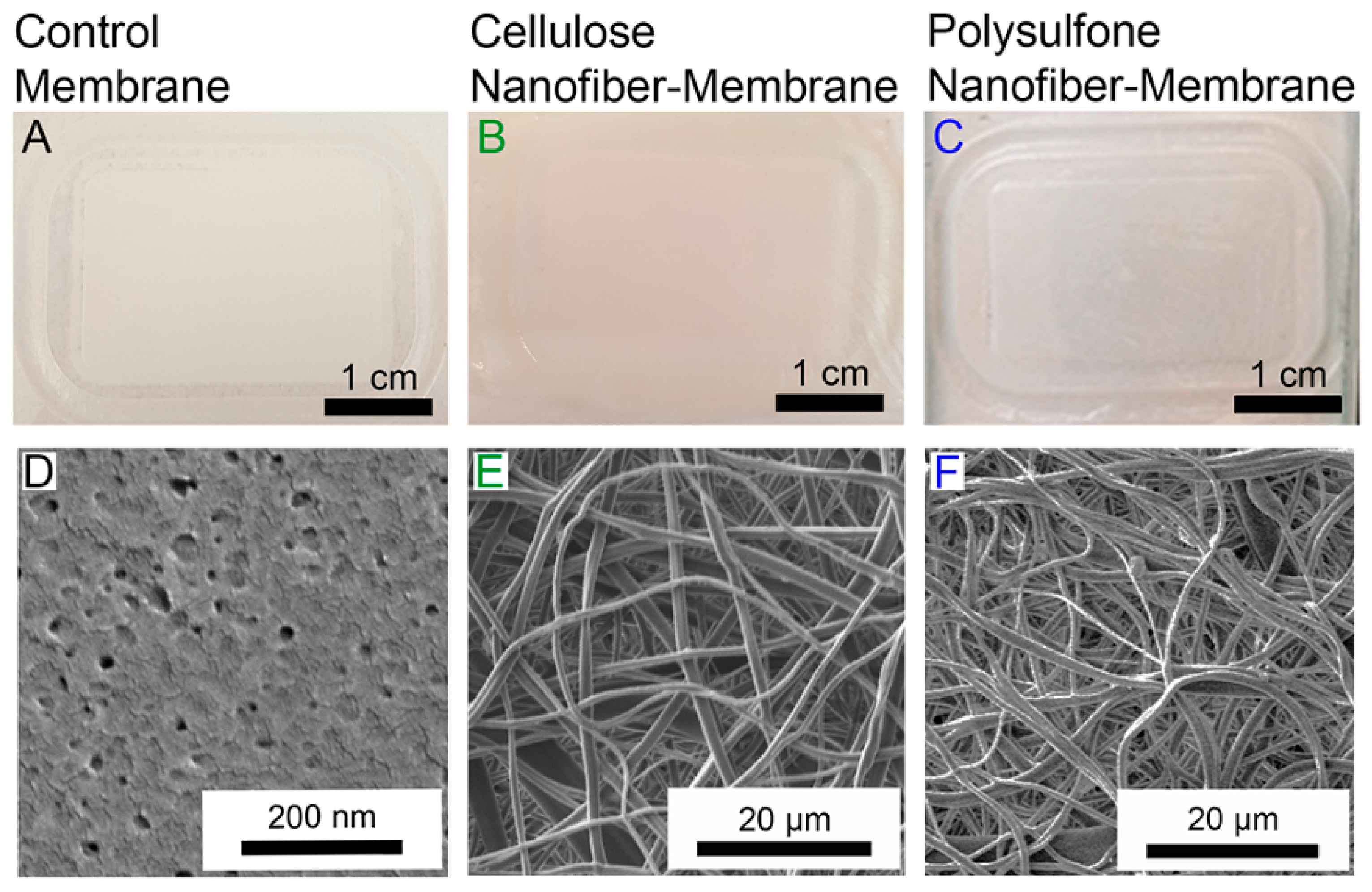 Materials 14 00558 g018