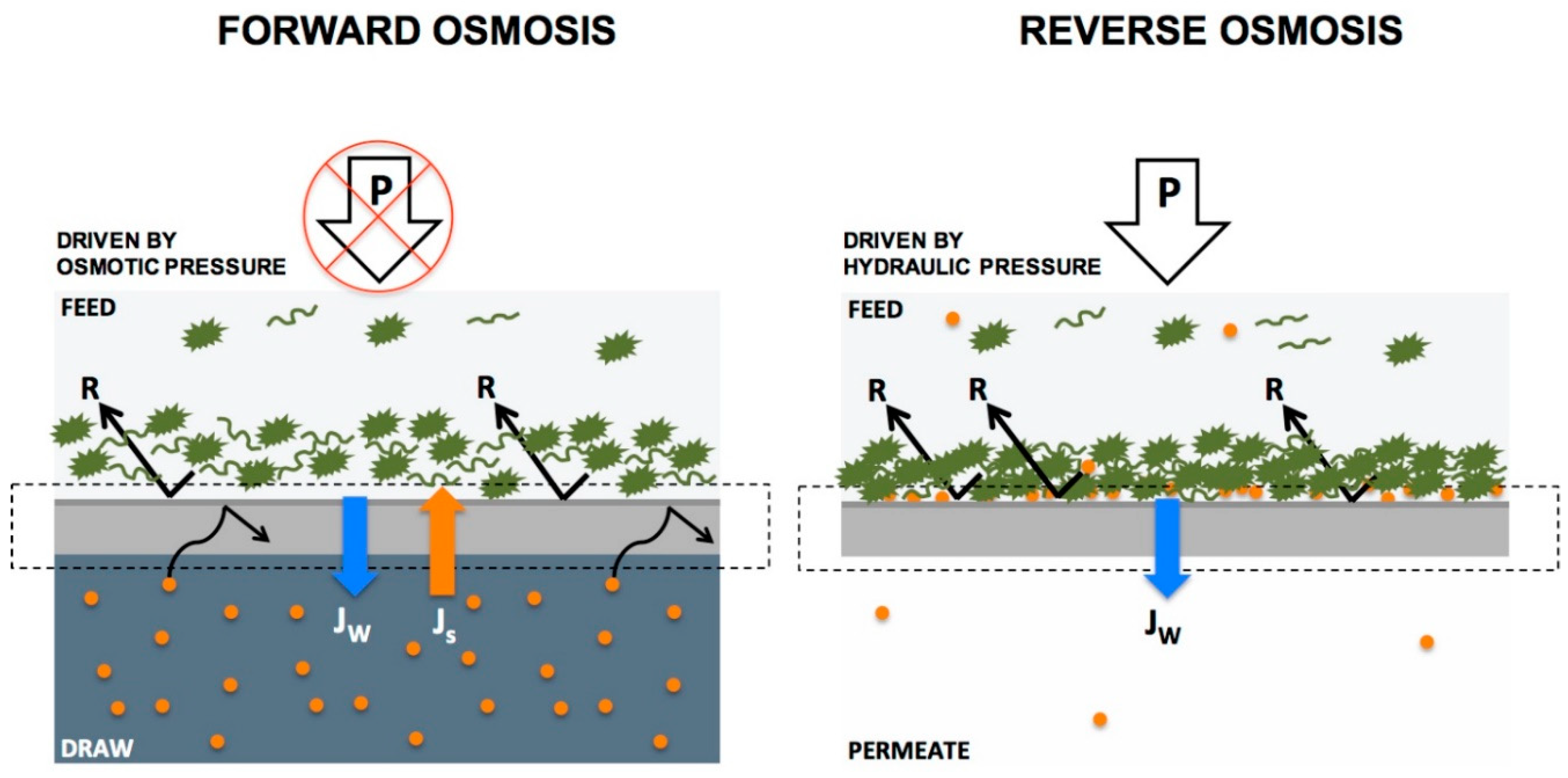 Materials 14 00558 g019