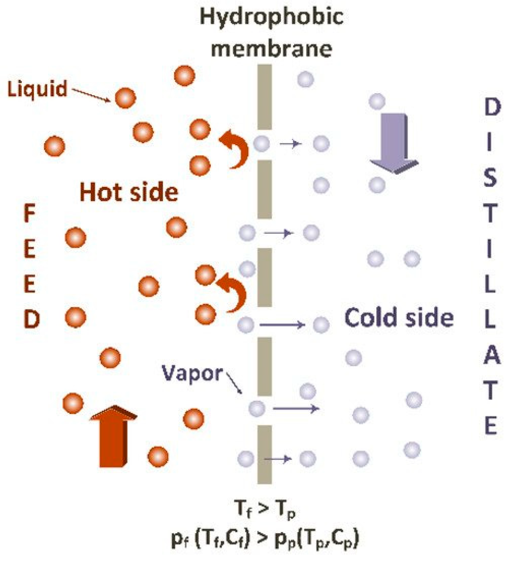Materials 14 00558 g020