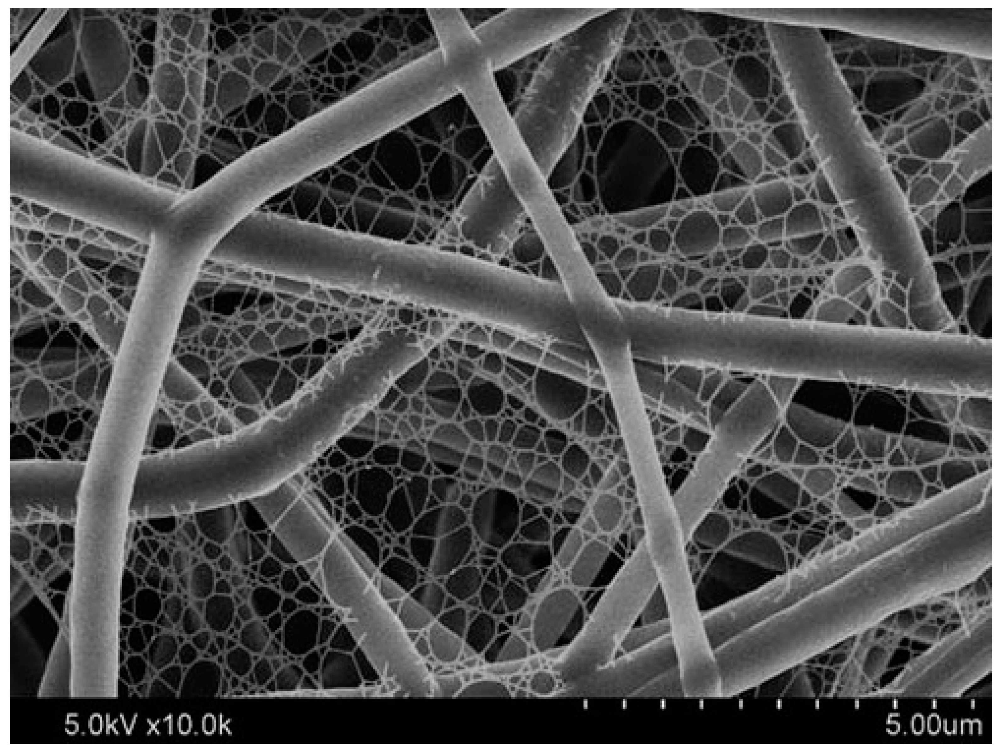 Materials 14 00558 g027