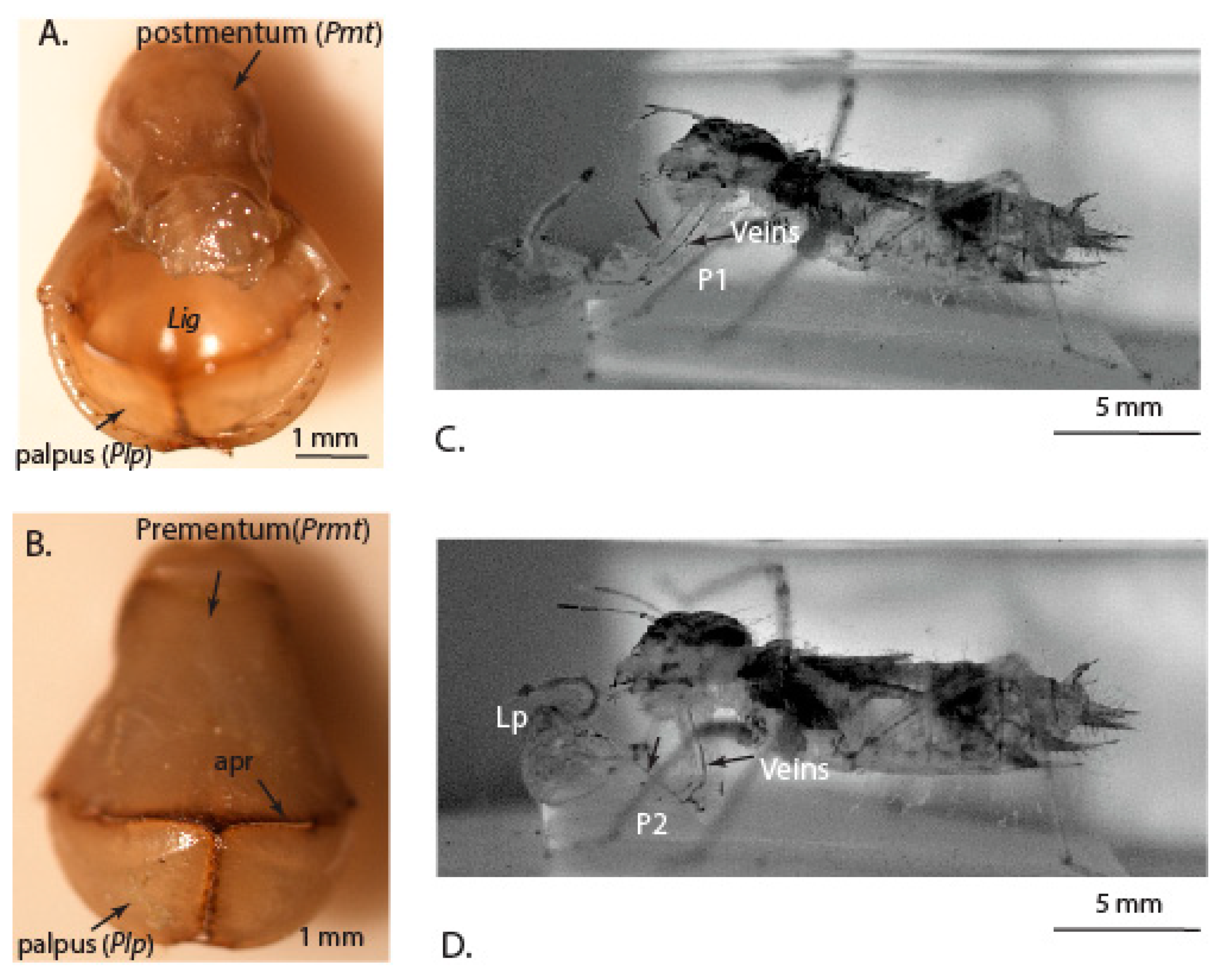 Materials 14 00559 g001 Materials 14 00559 g001