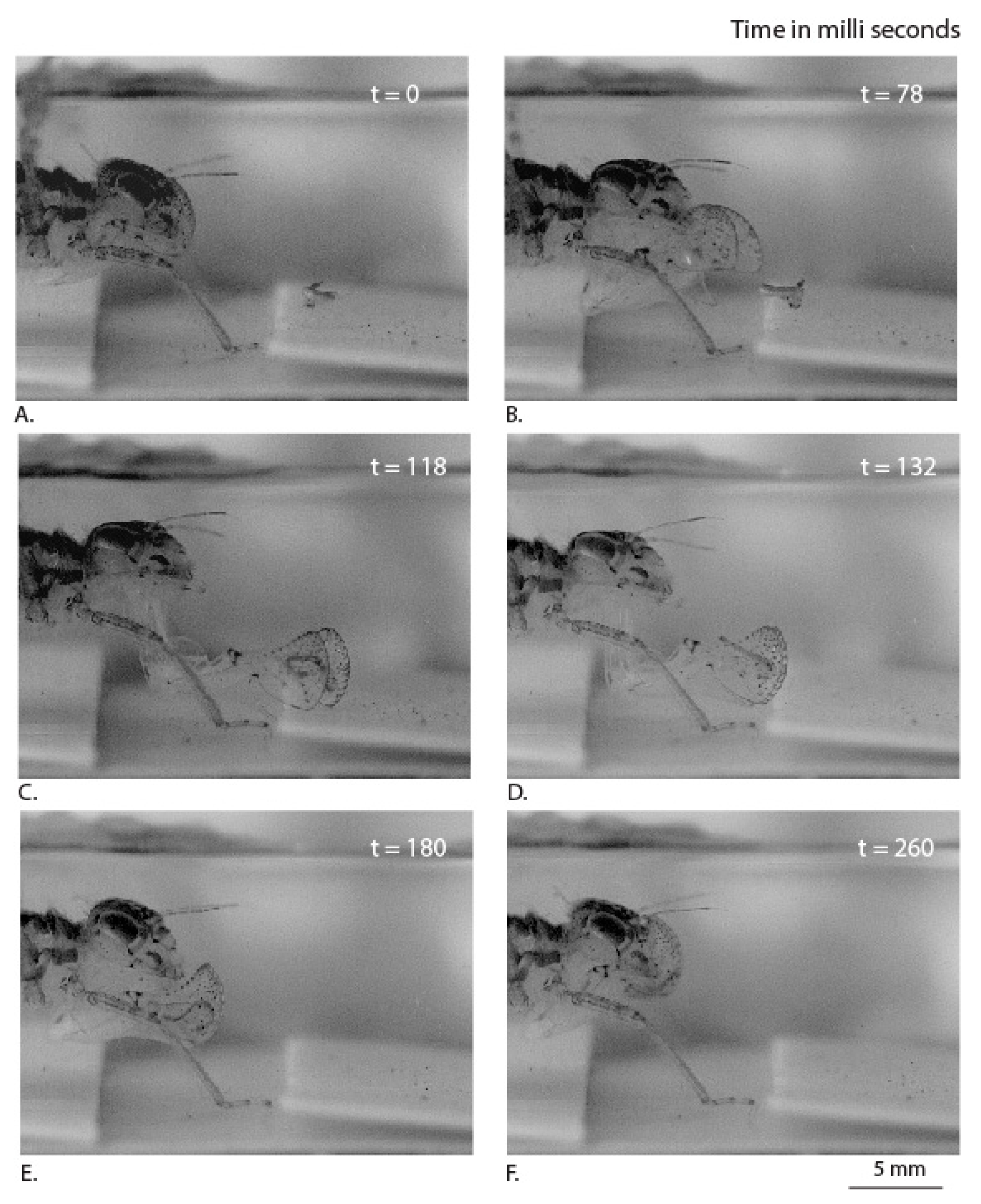 Materials 14 00559 g003 Materials 14 00559 g003