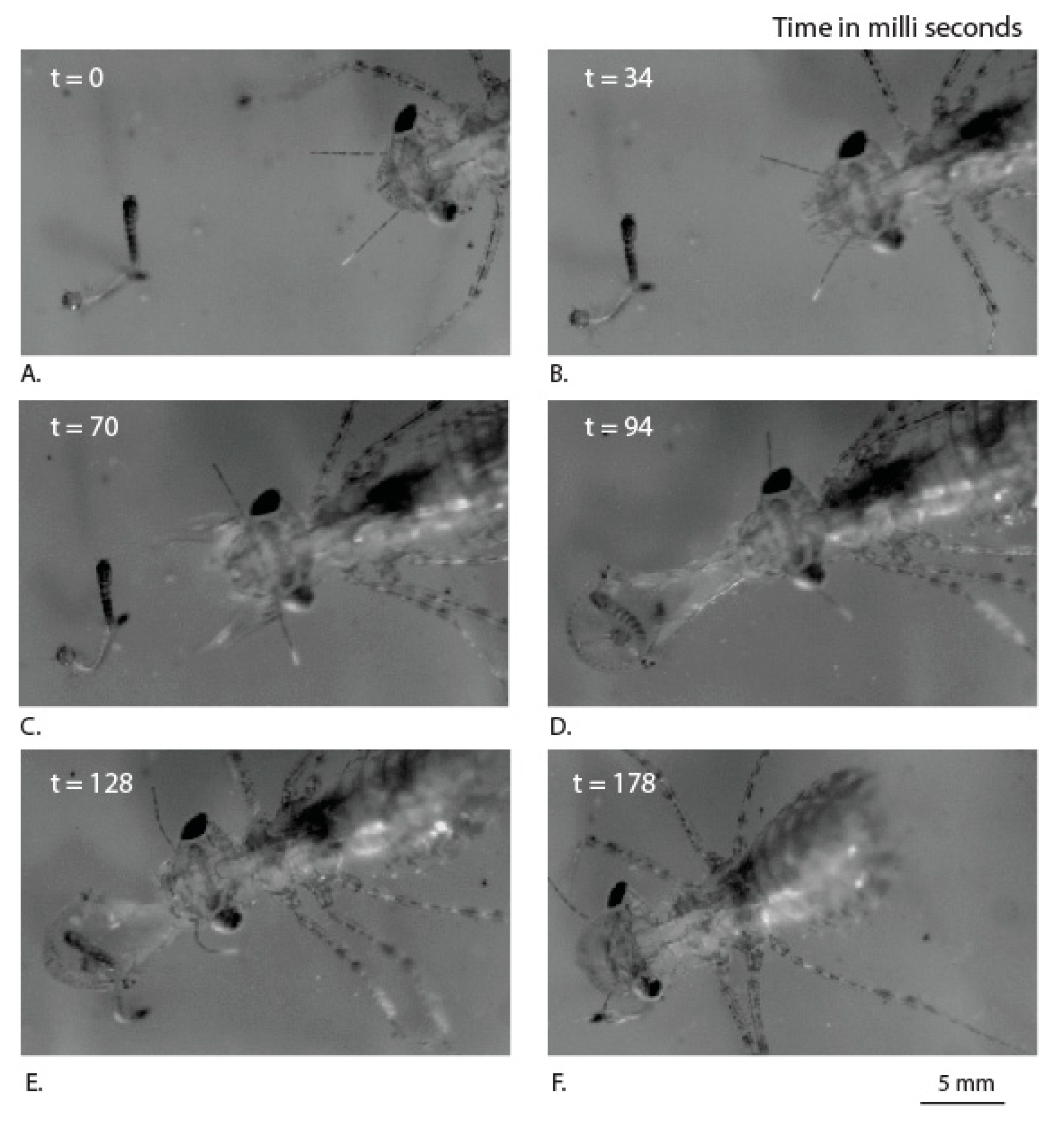 Materials 14 00559 g004 Materials 14 00559 g004