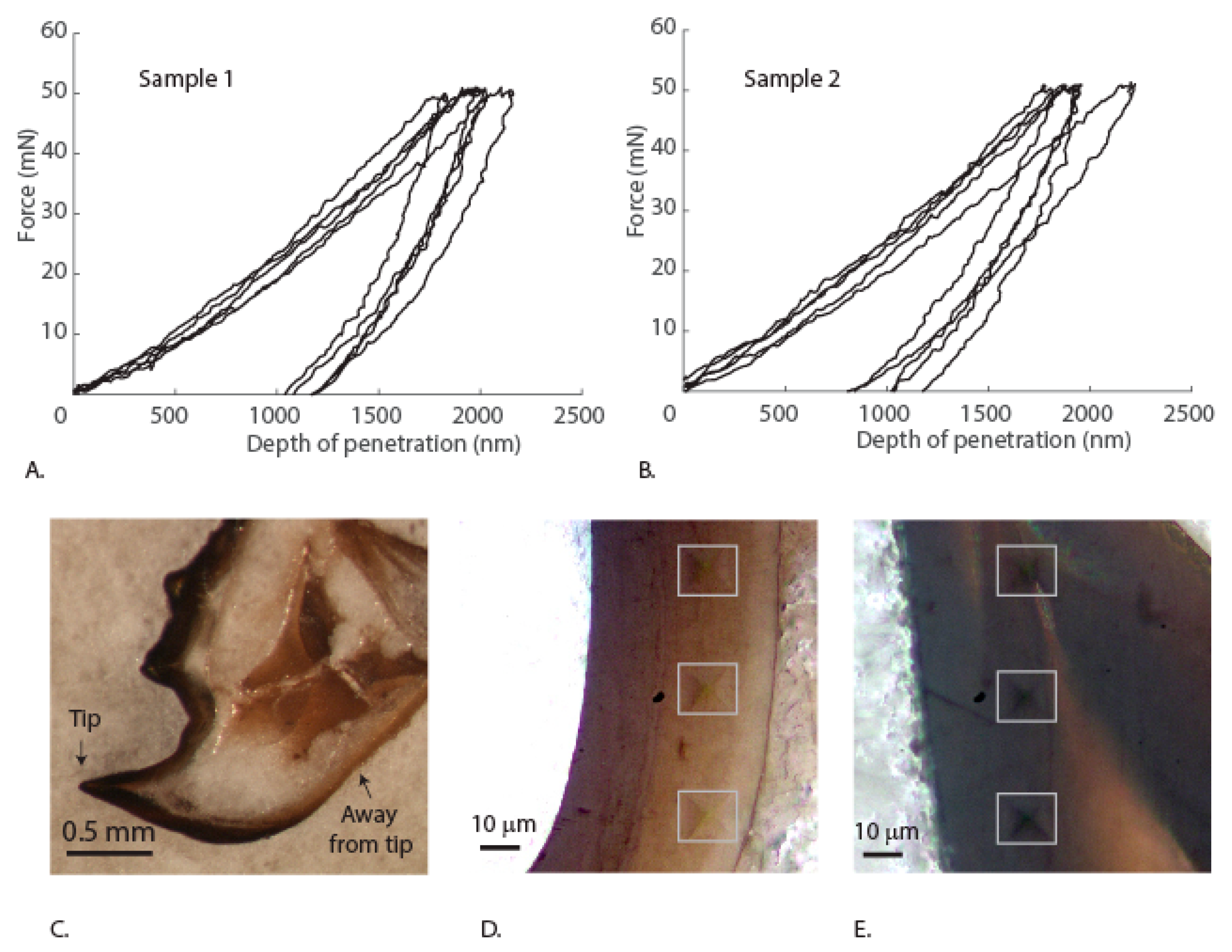 Materials 14 00559 g006 Materials 14 00559 g006