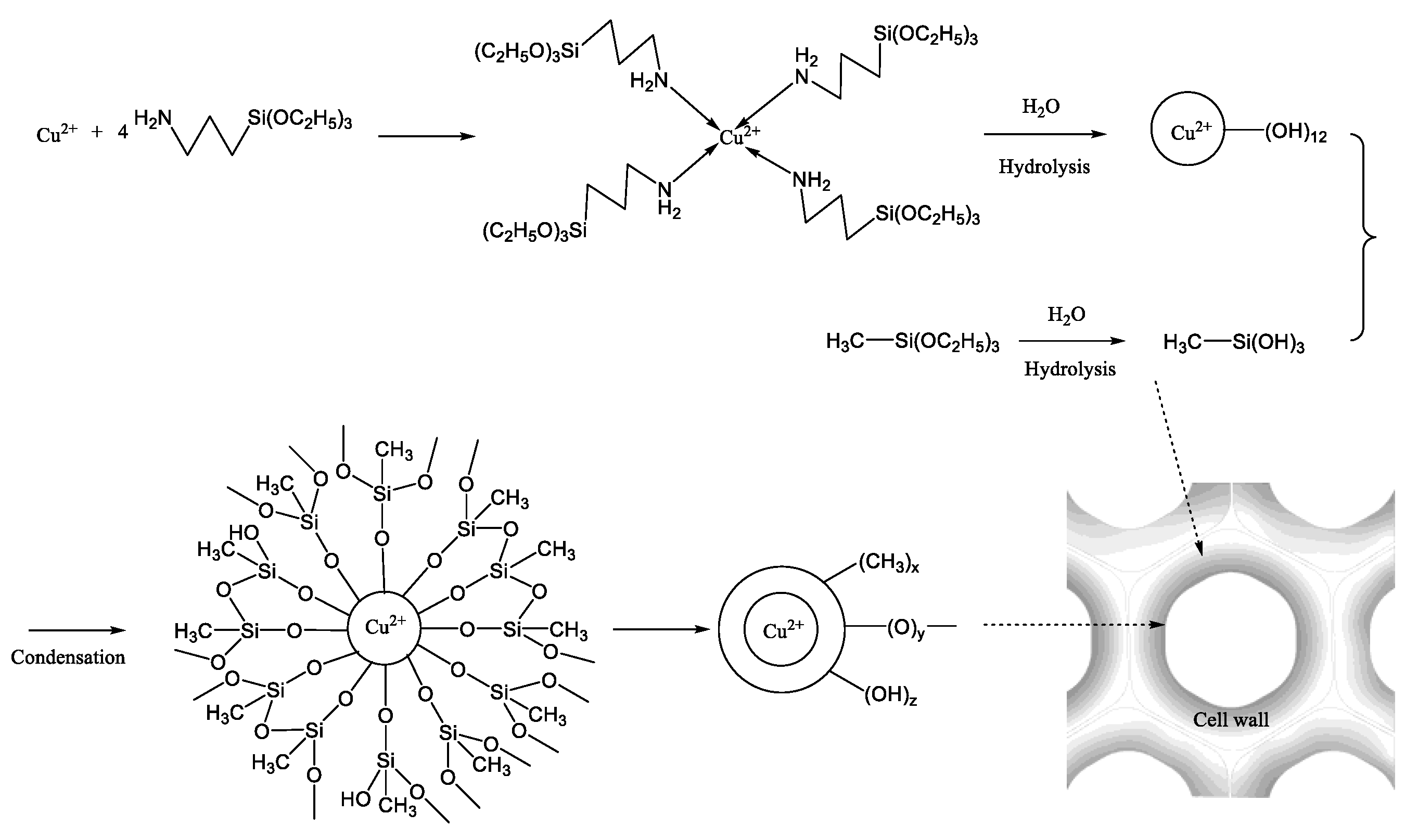 Materials 14 00577 g007