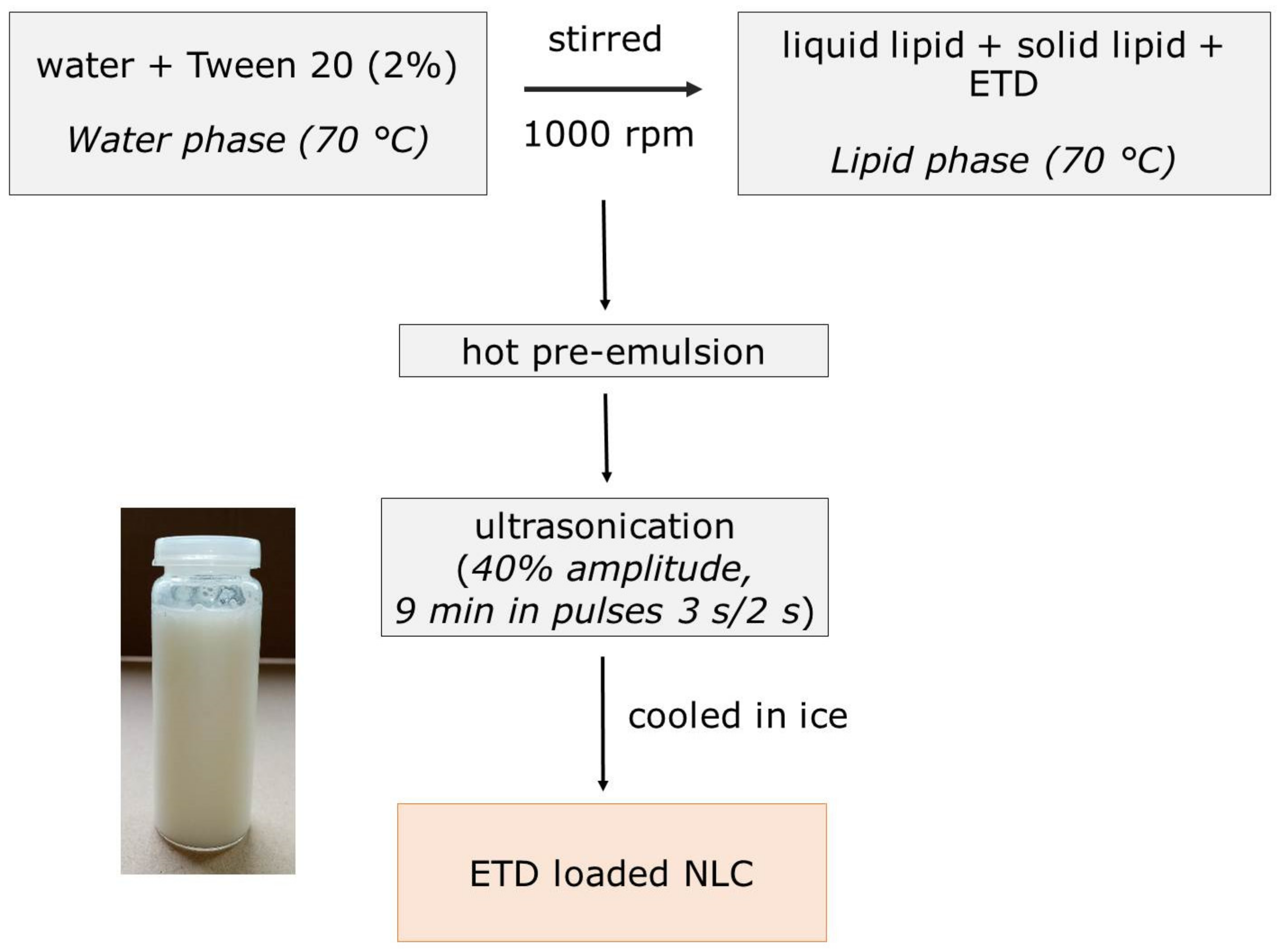 Materials 14 00596 g001