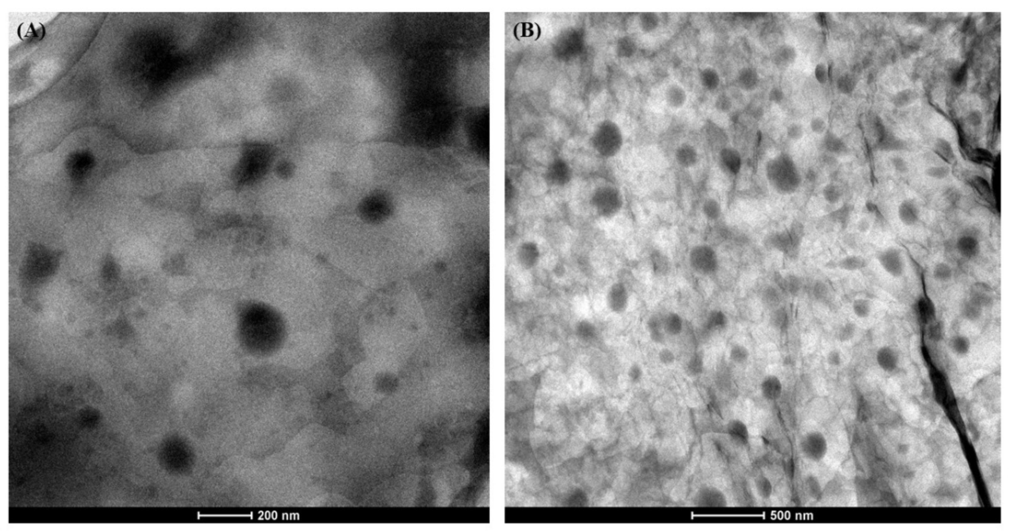 Materials 14 00596 g005