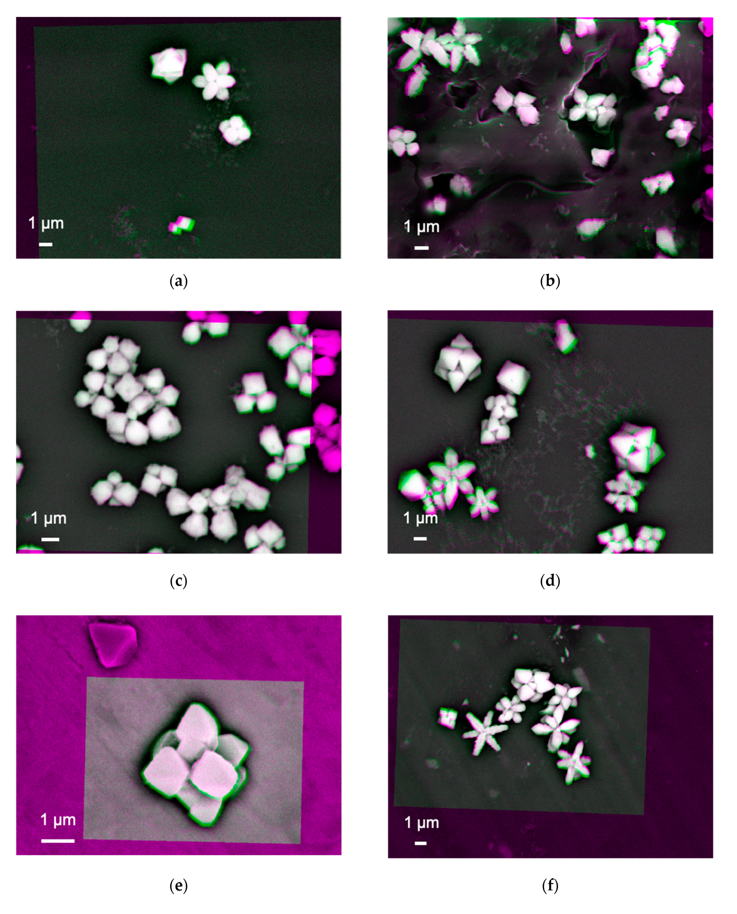 Materials 14 00613 g002a