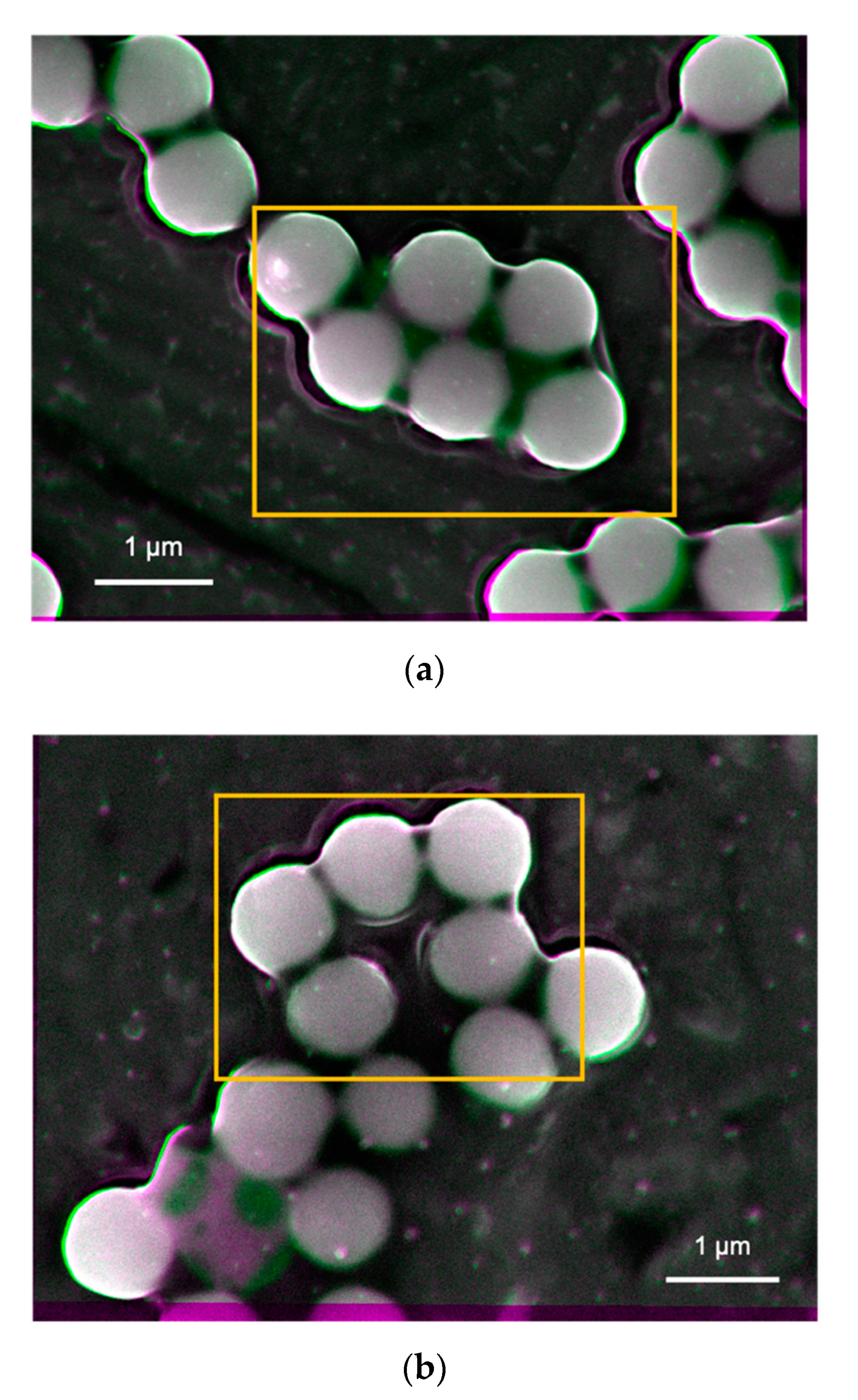 Materials 14 00613 g005