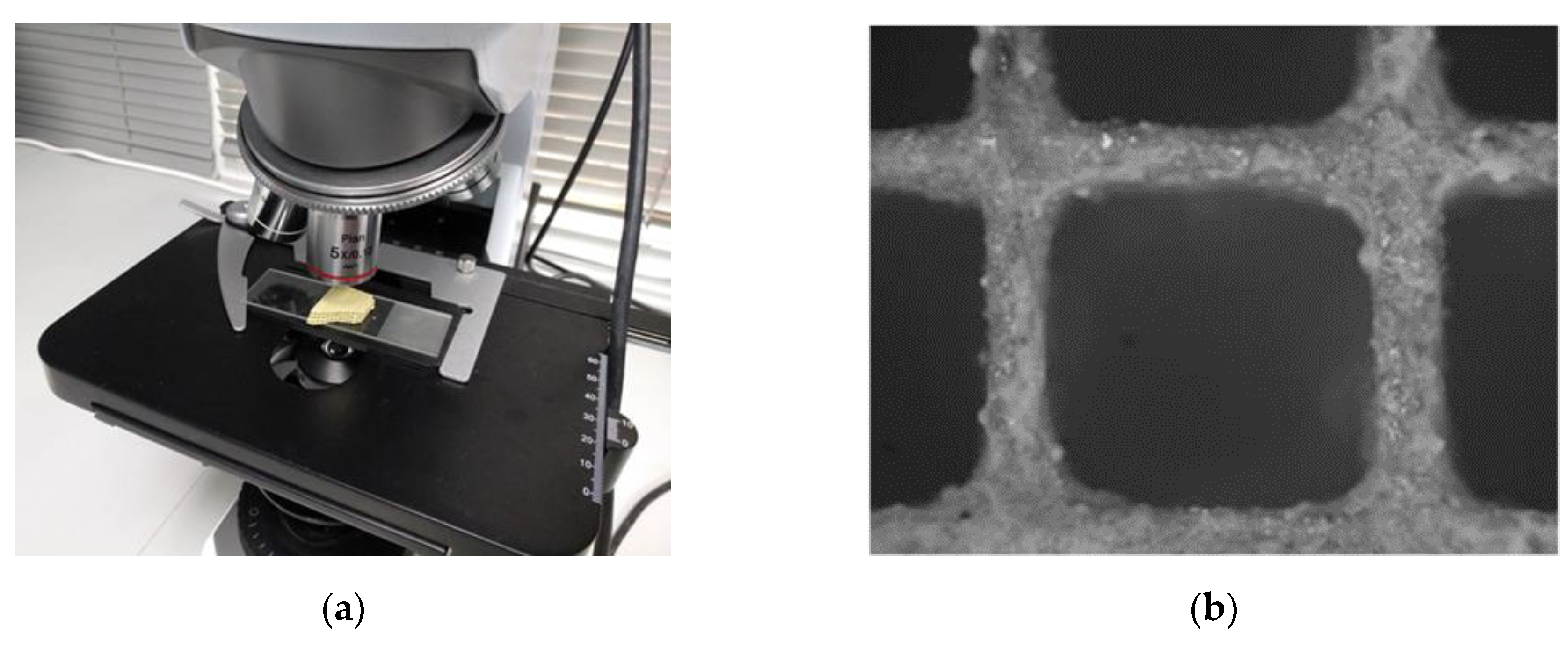 Materials 14 00622 g015 Materials 14 00622 g015