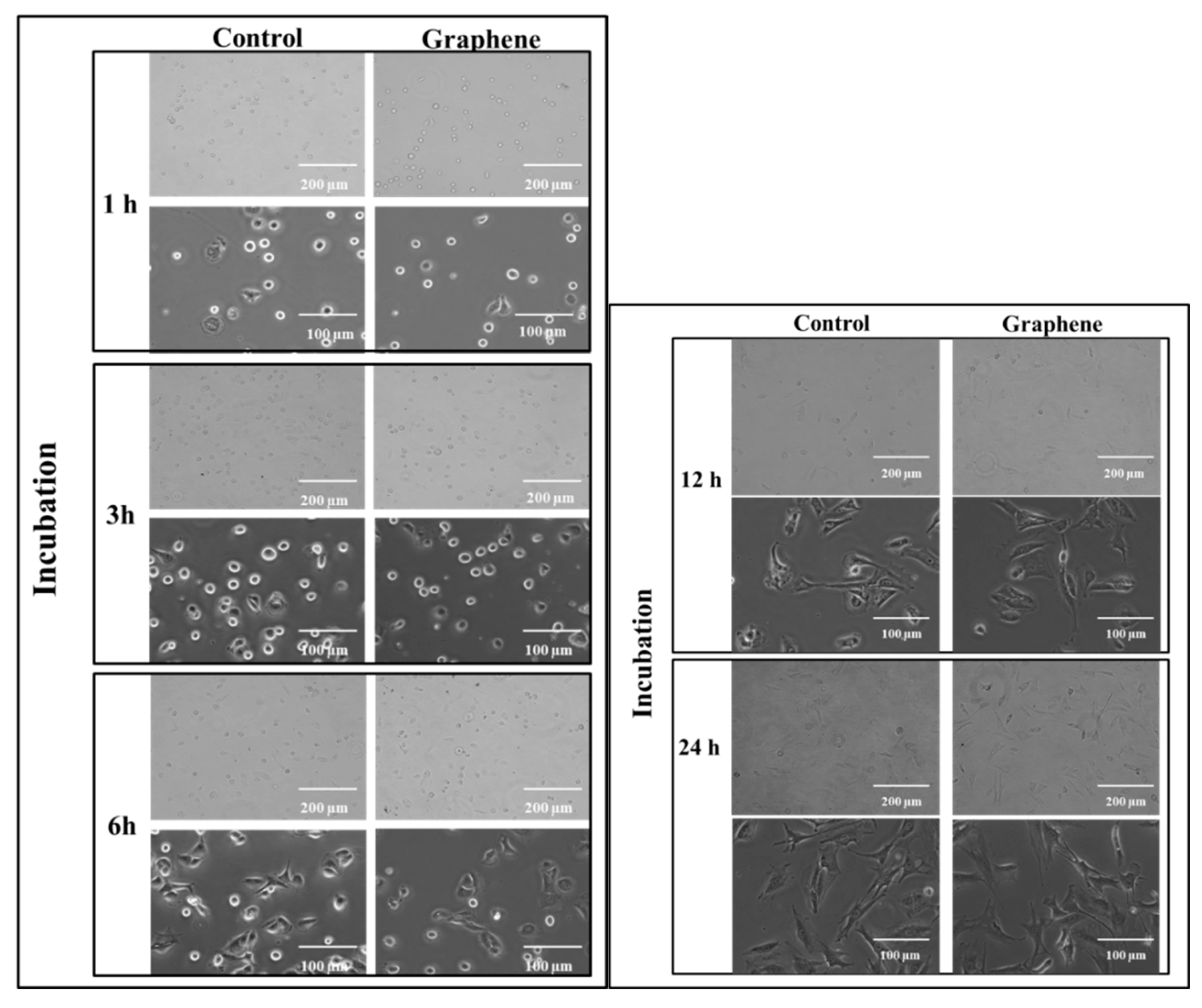 Materials 14 00643 g003