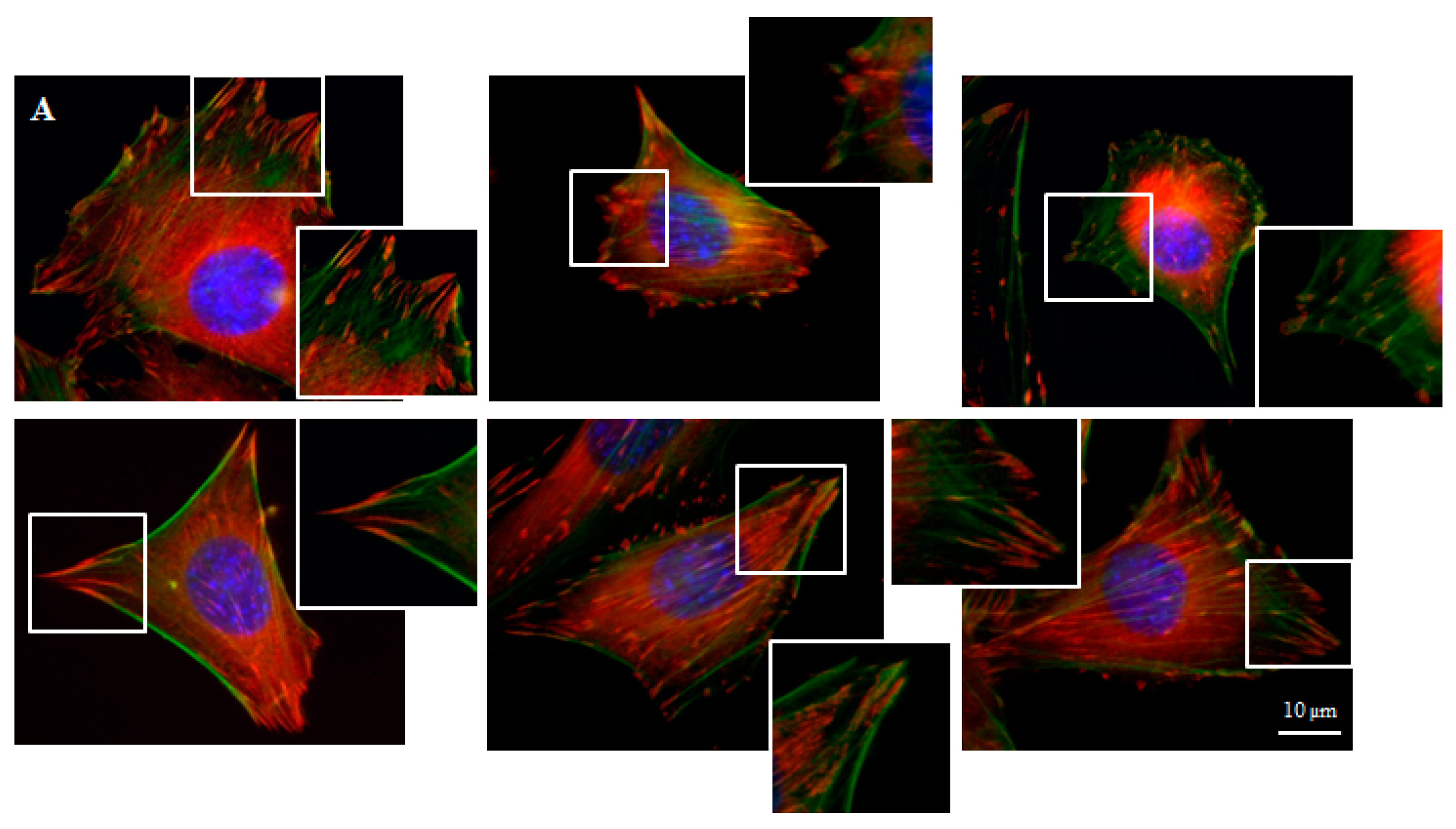 Materials 14 00643 g005a