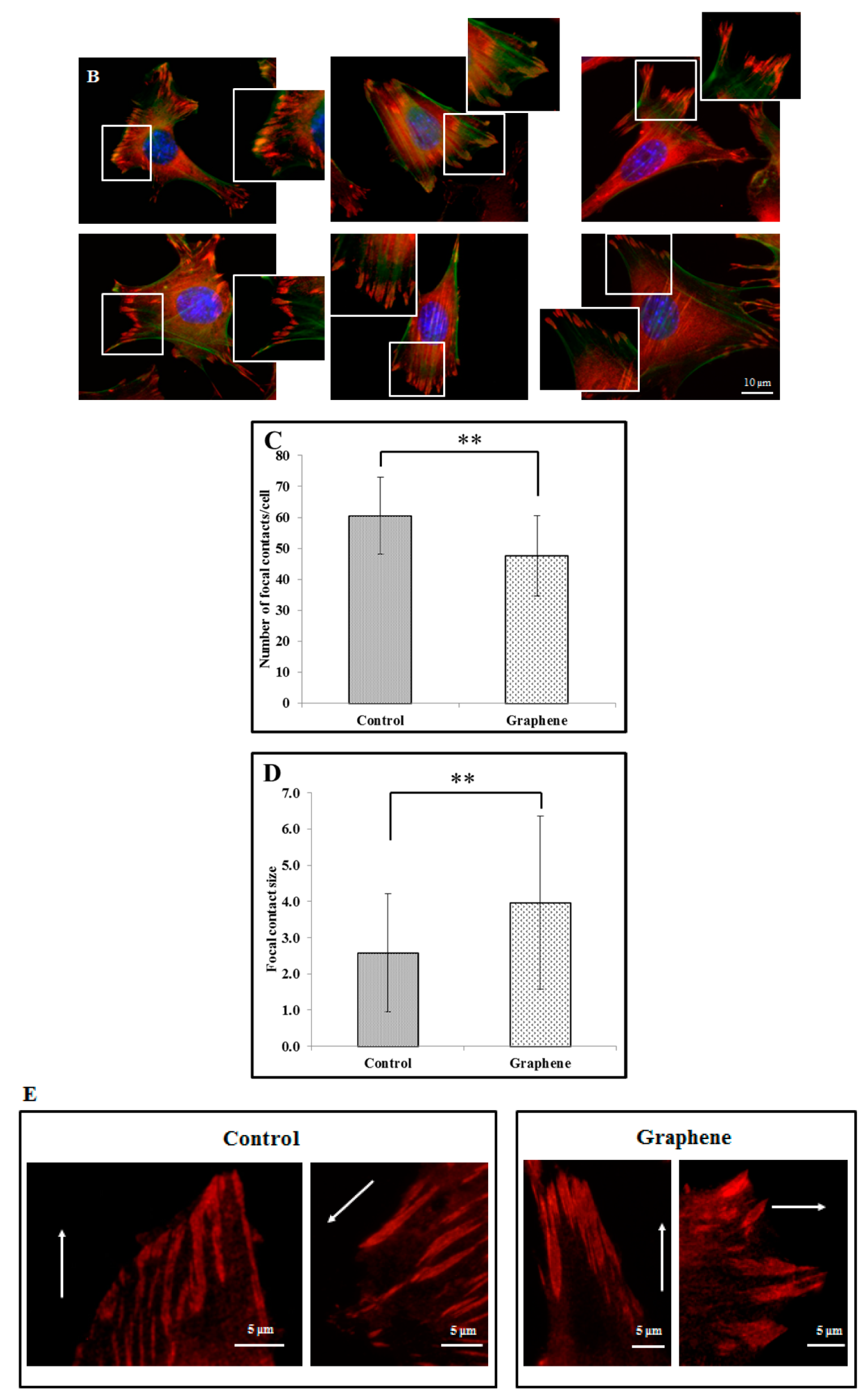 Materials 14 00643 g005b