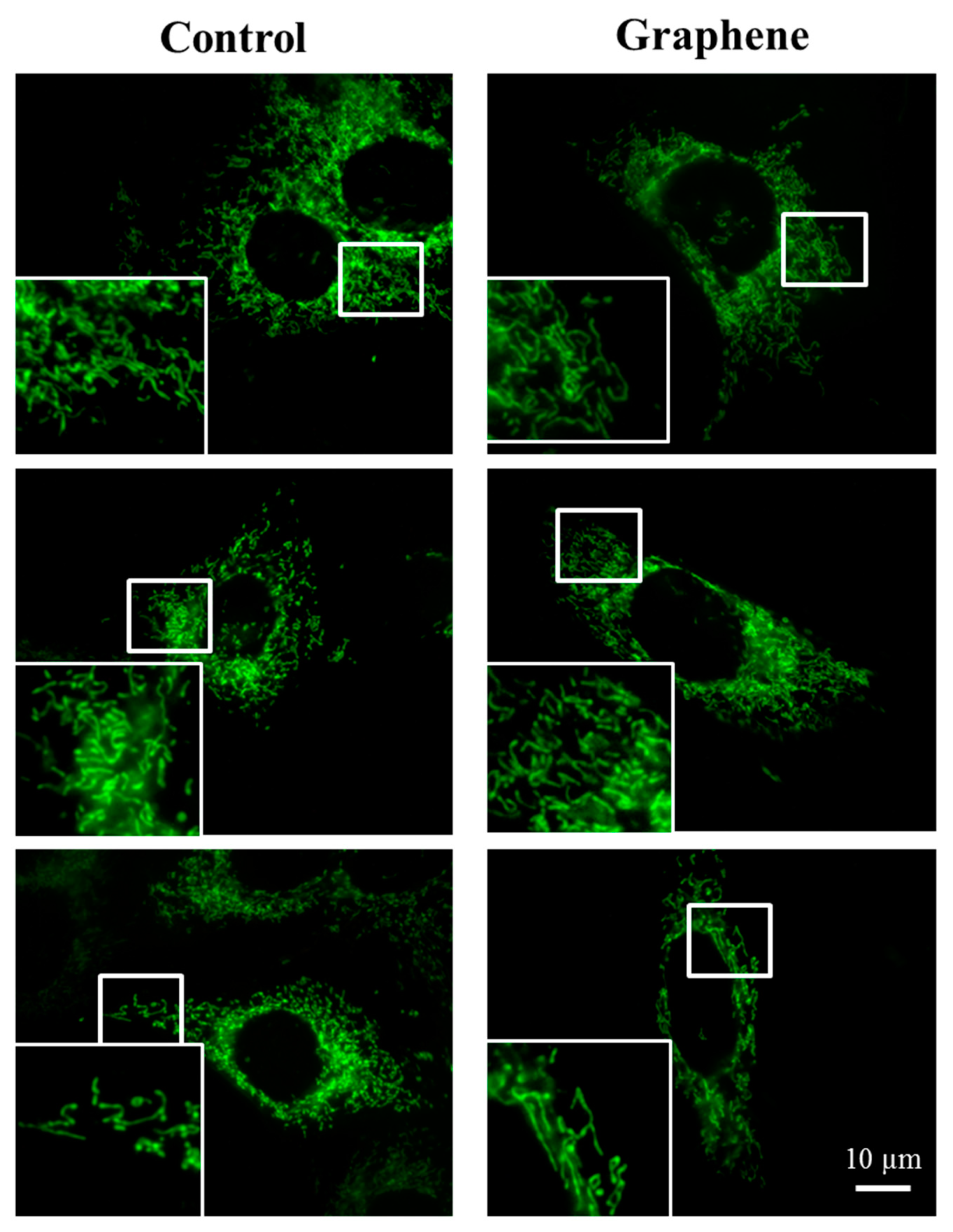 Materials 14 00643 g007a