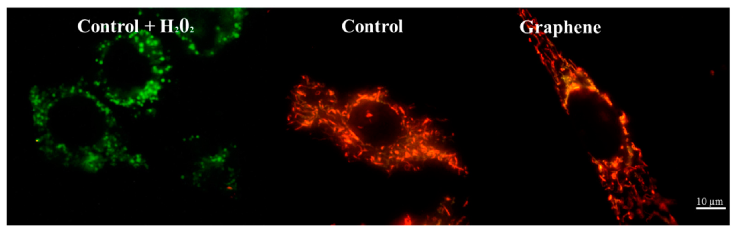 Materials 14 00643 g009