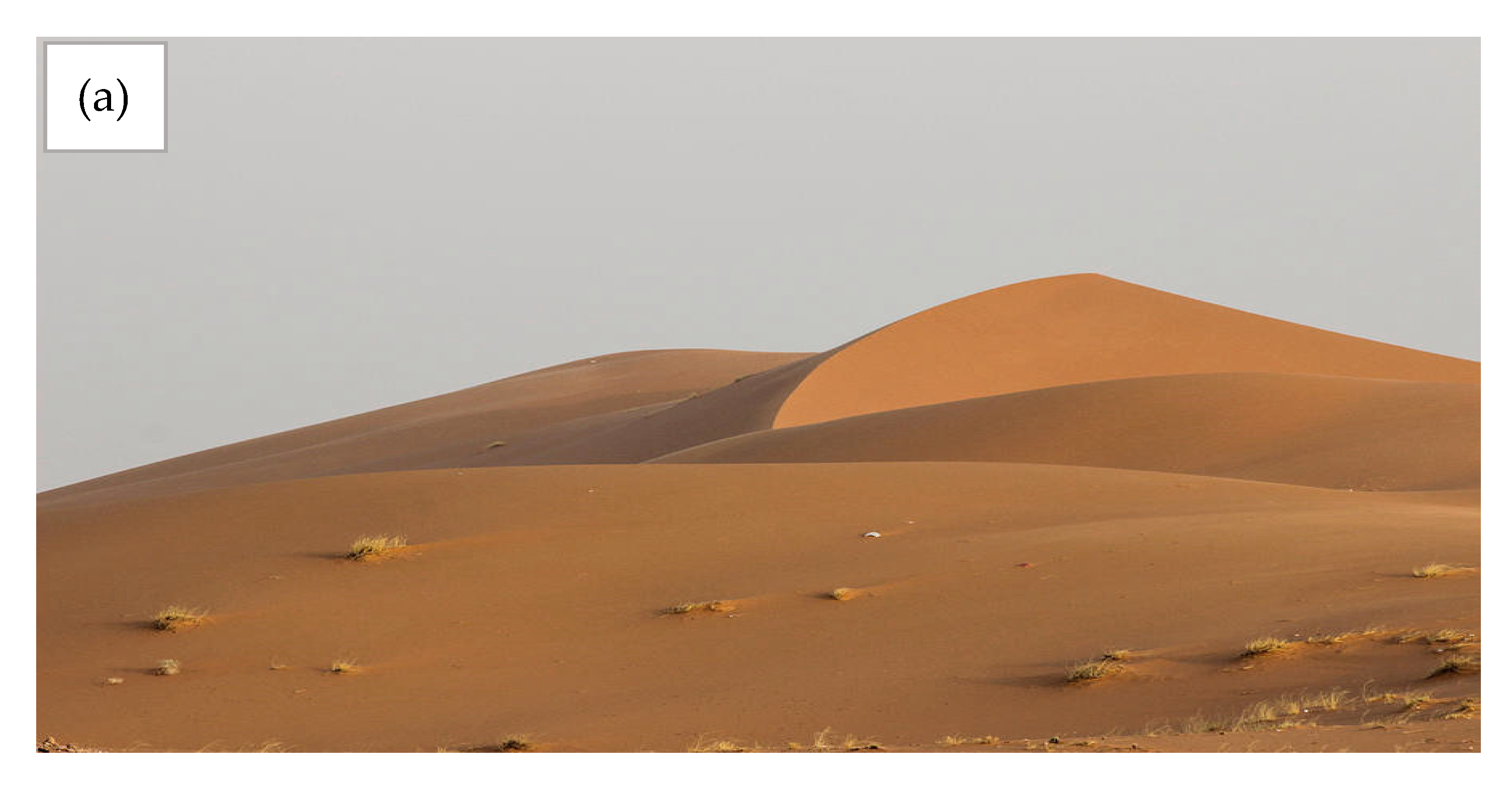 Materials 14 00645 g001a