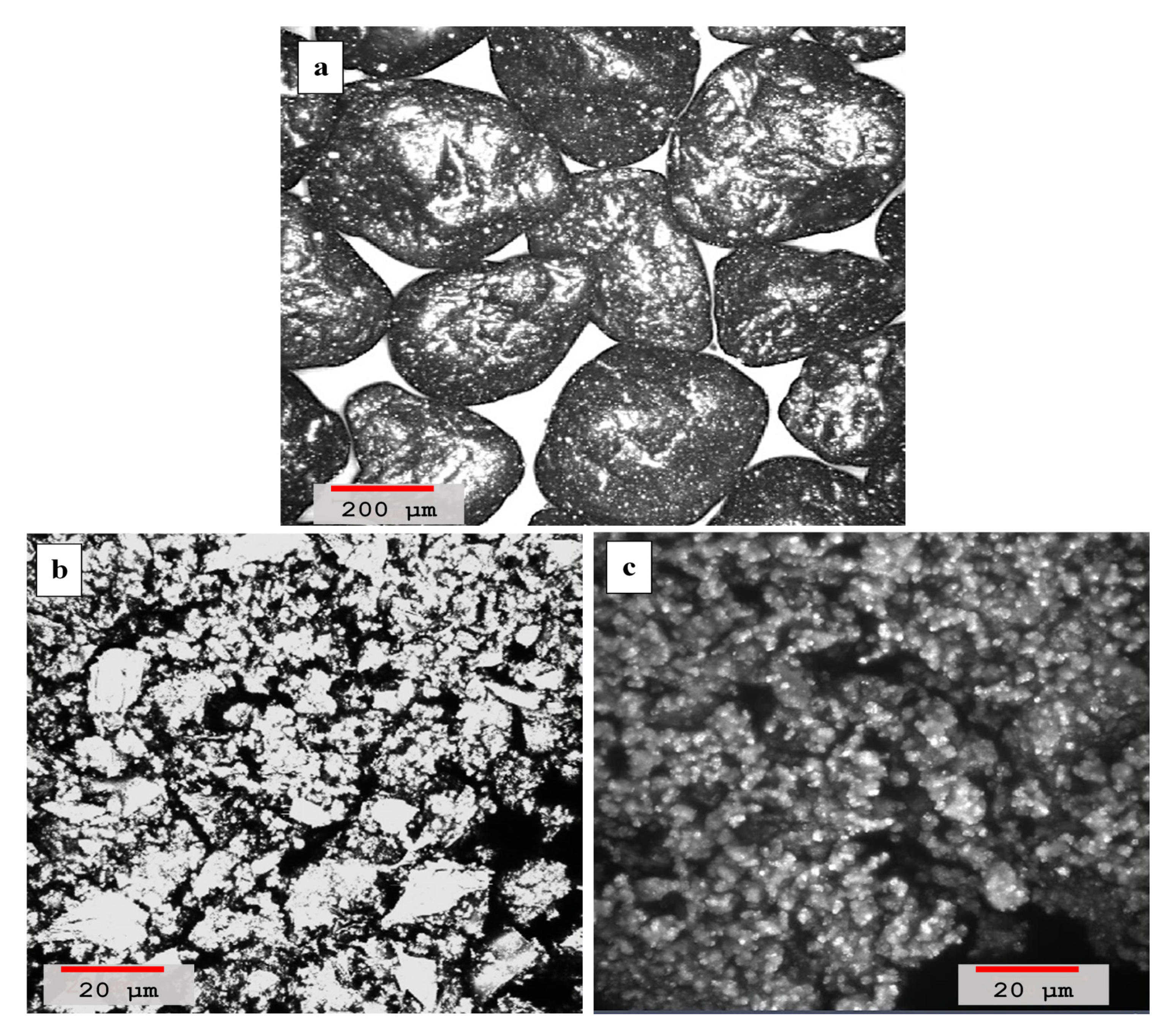 Materials 14 00645 g005