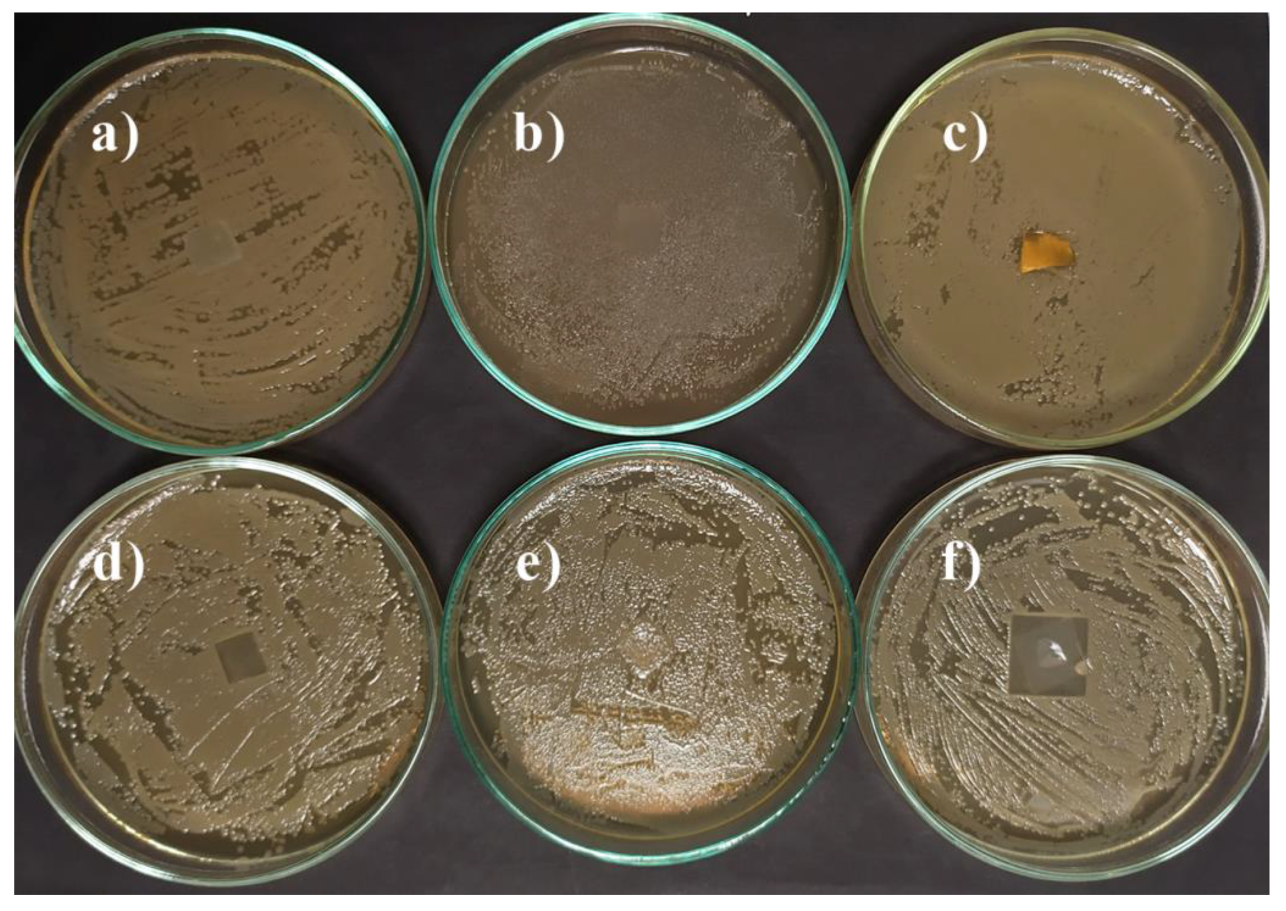 Materials 14 00653 g010