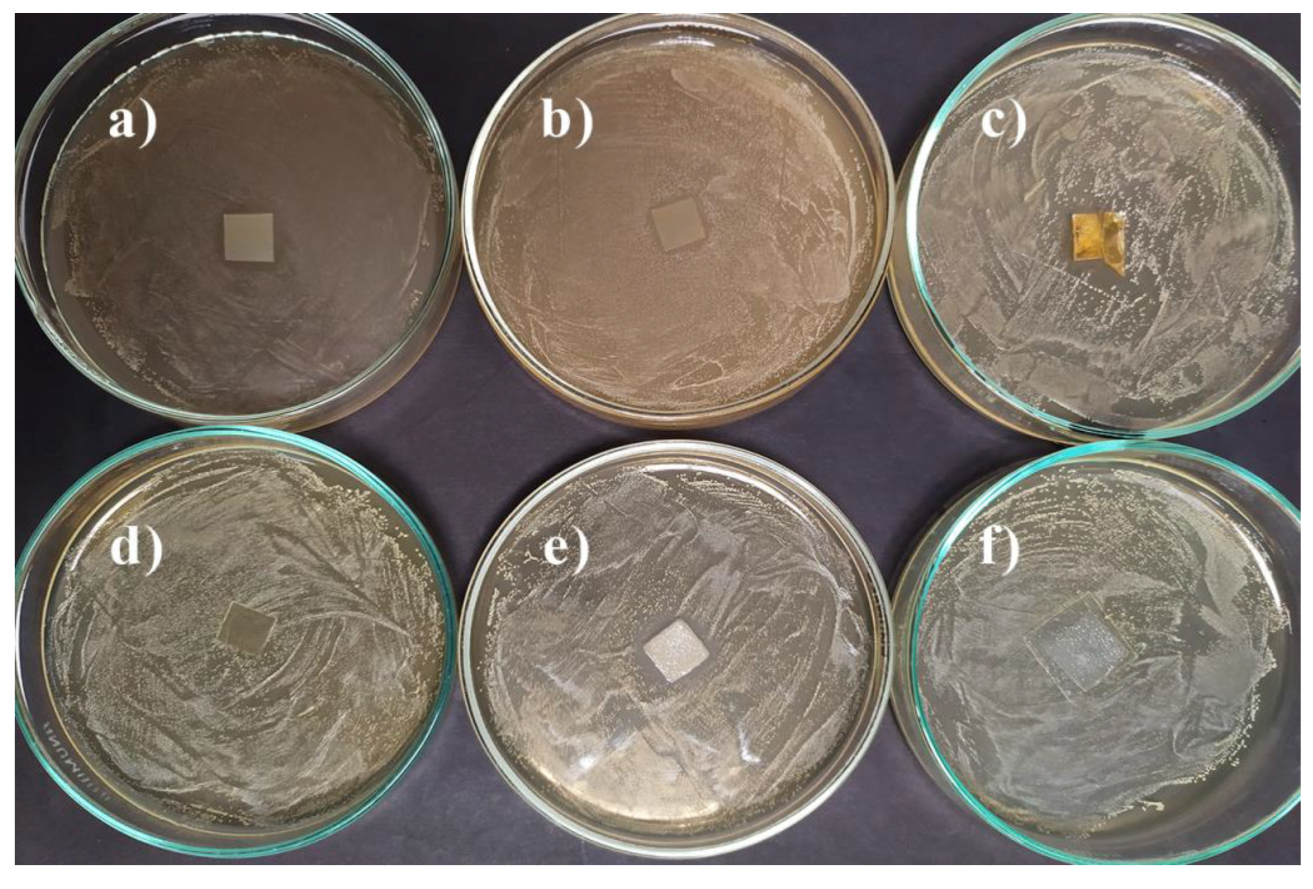 Materials 14 00653 g011