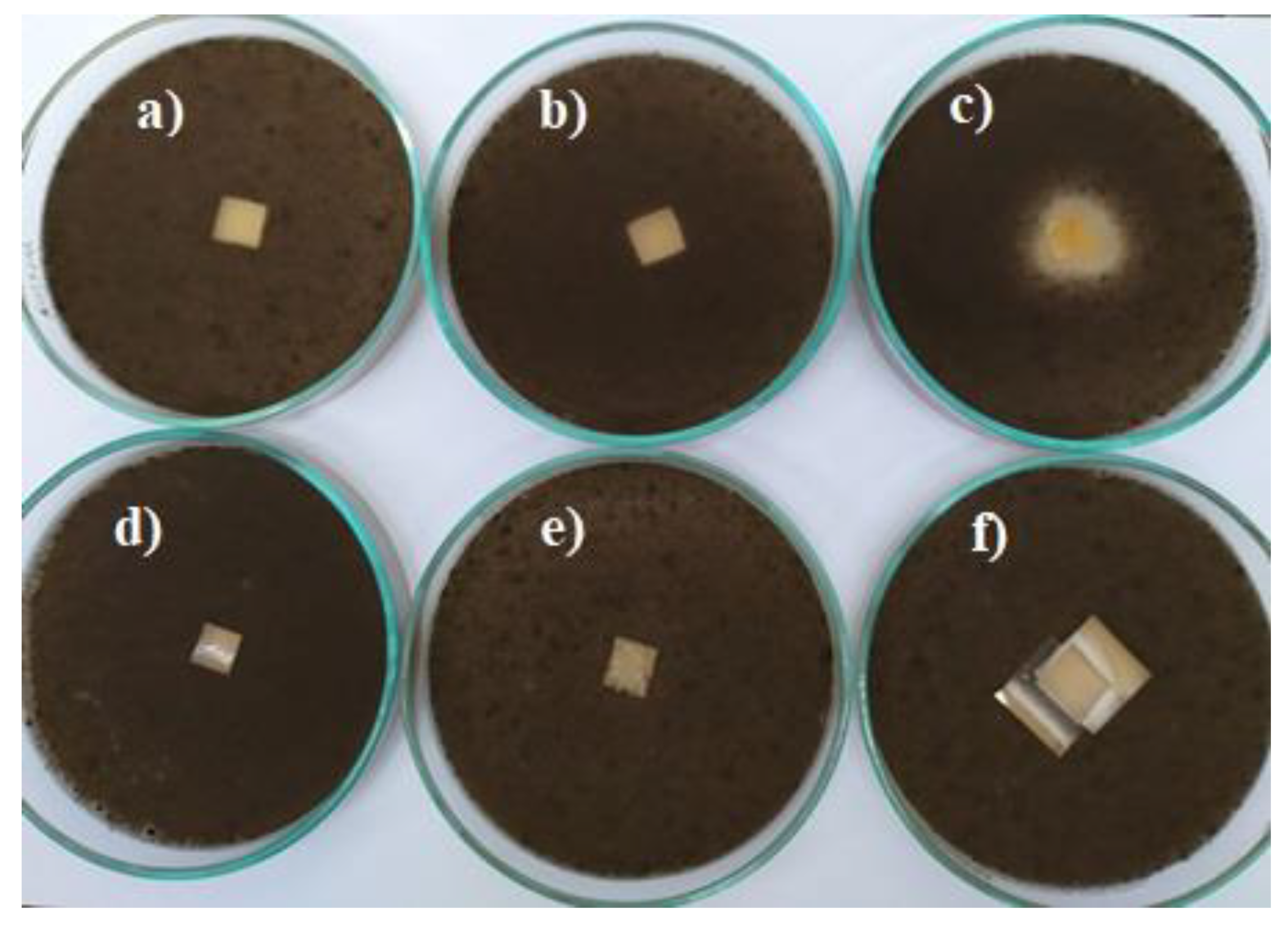 Materials 14 00653 g012