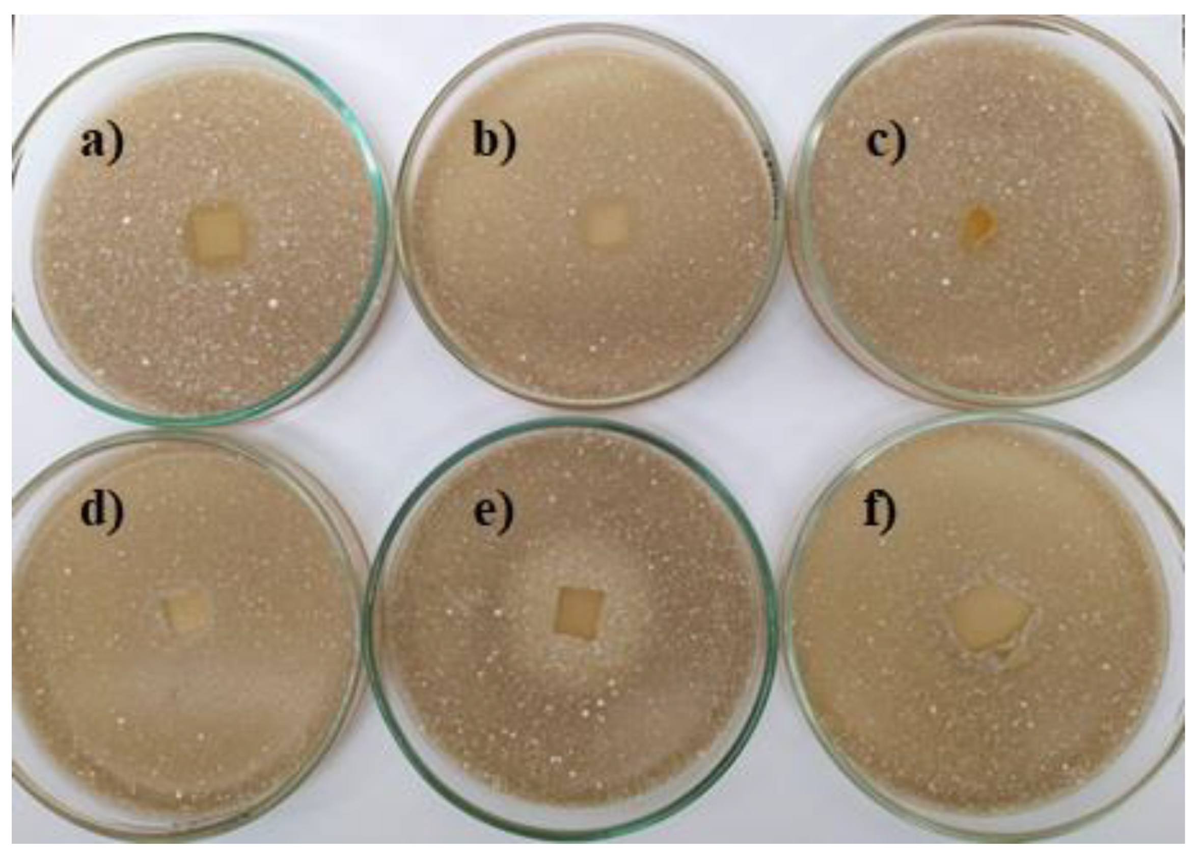 Materials 14 00653 g013