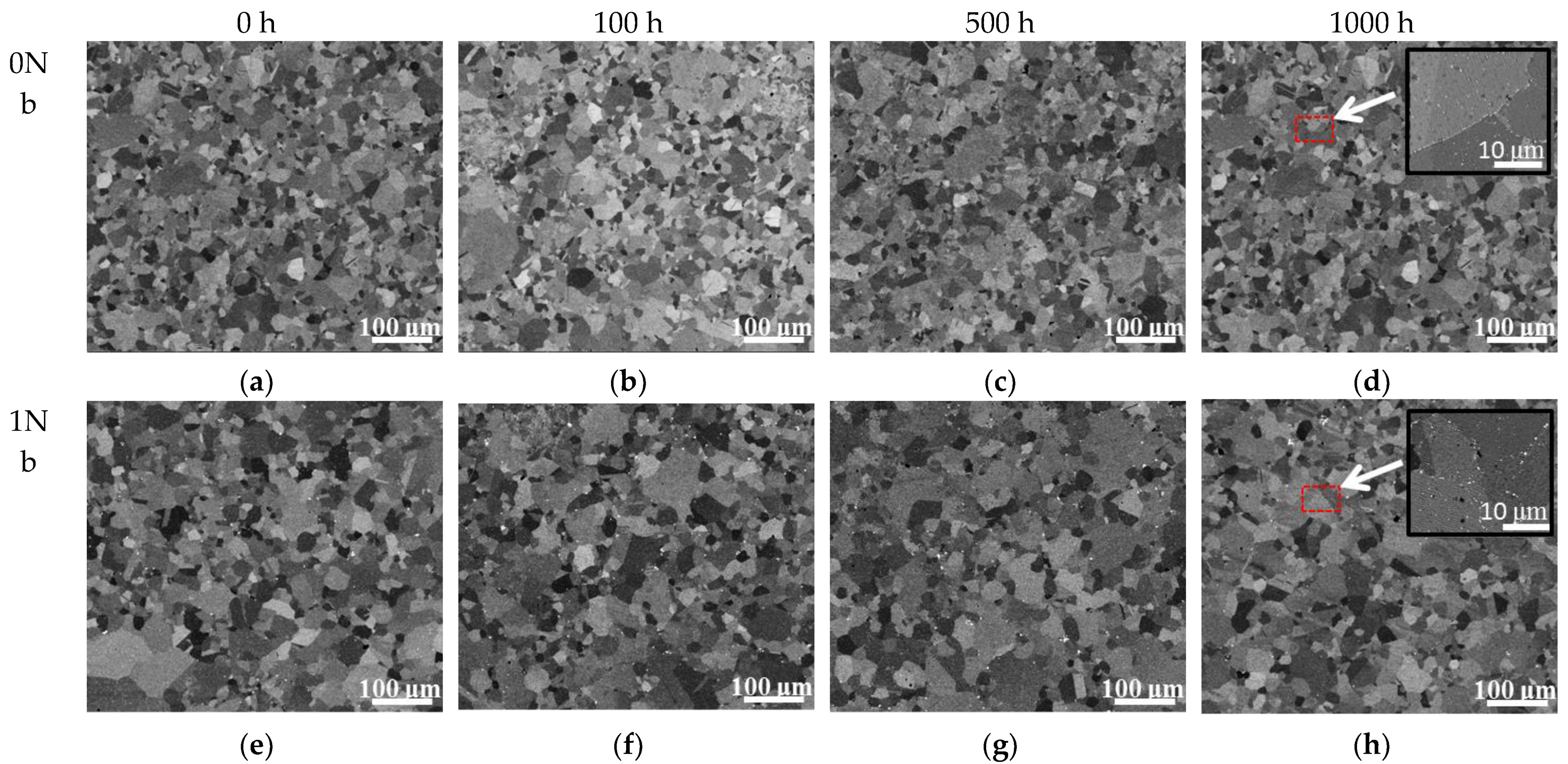 Materials 14 00656 g004 Materials 14 00656 g004