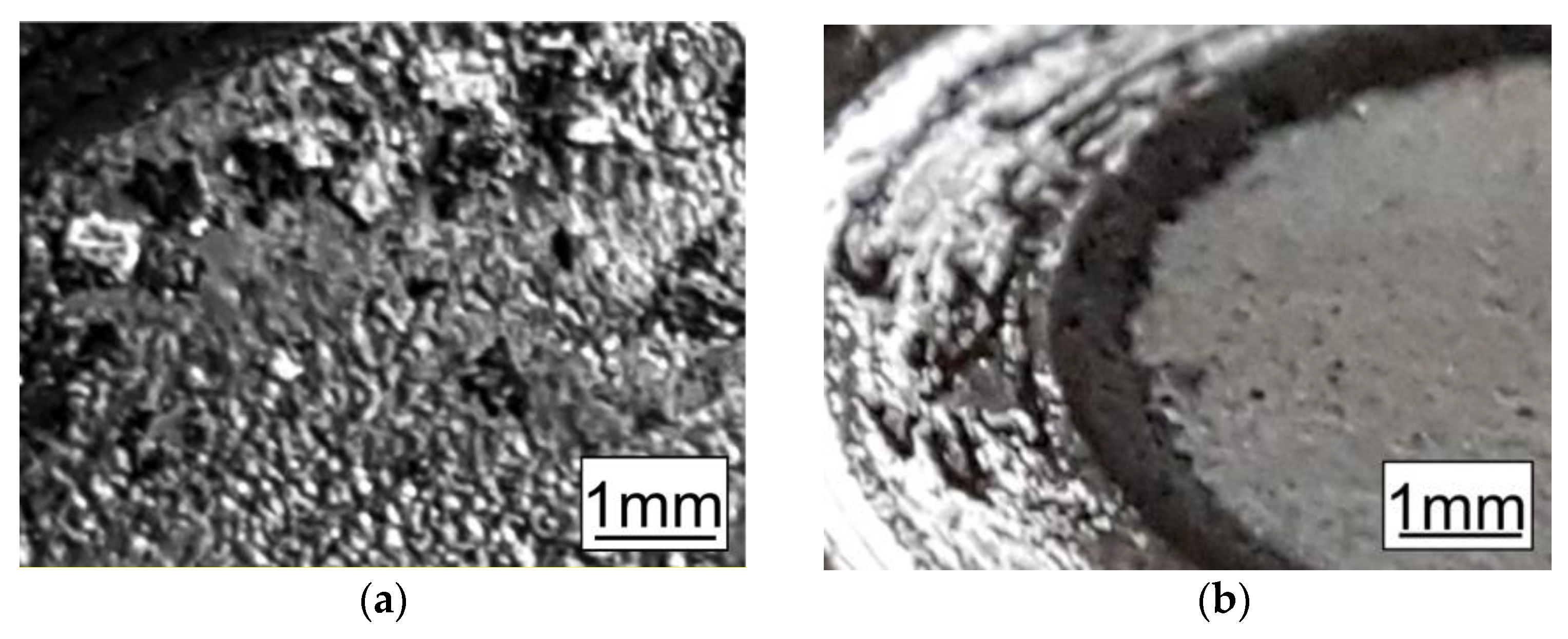 Materials 14 00660 g008