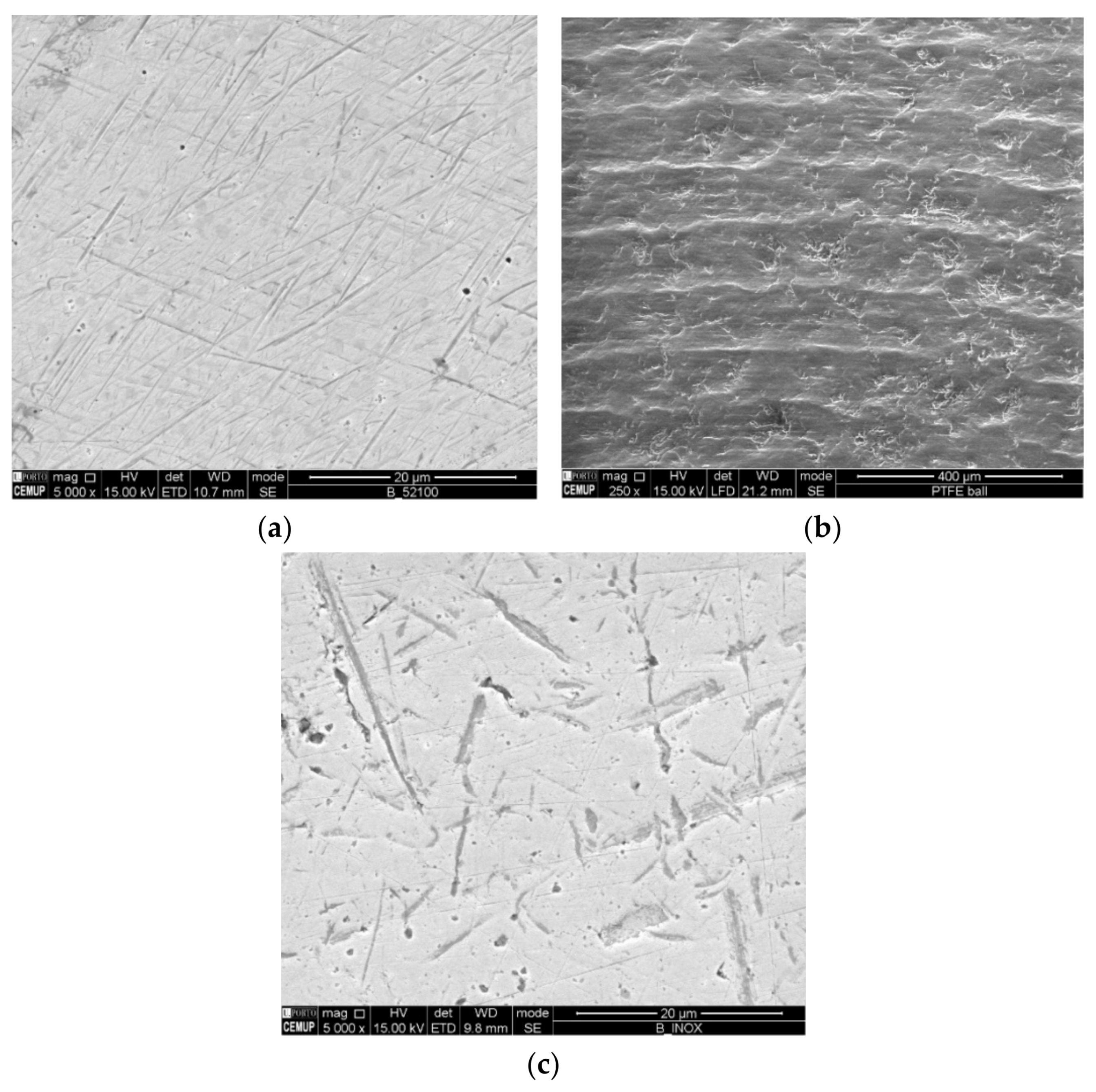 Materials 14 00668 g001