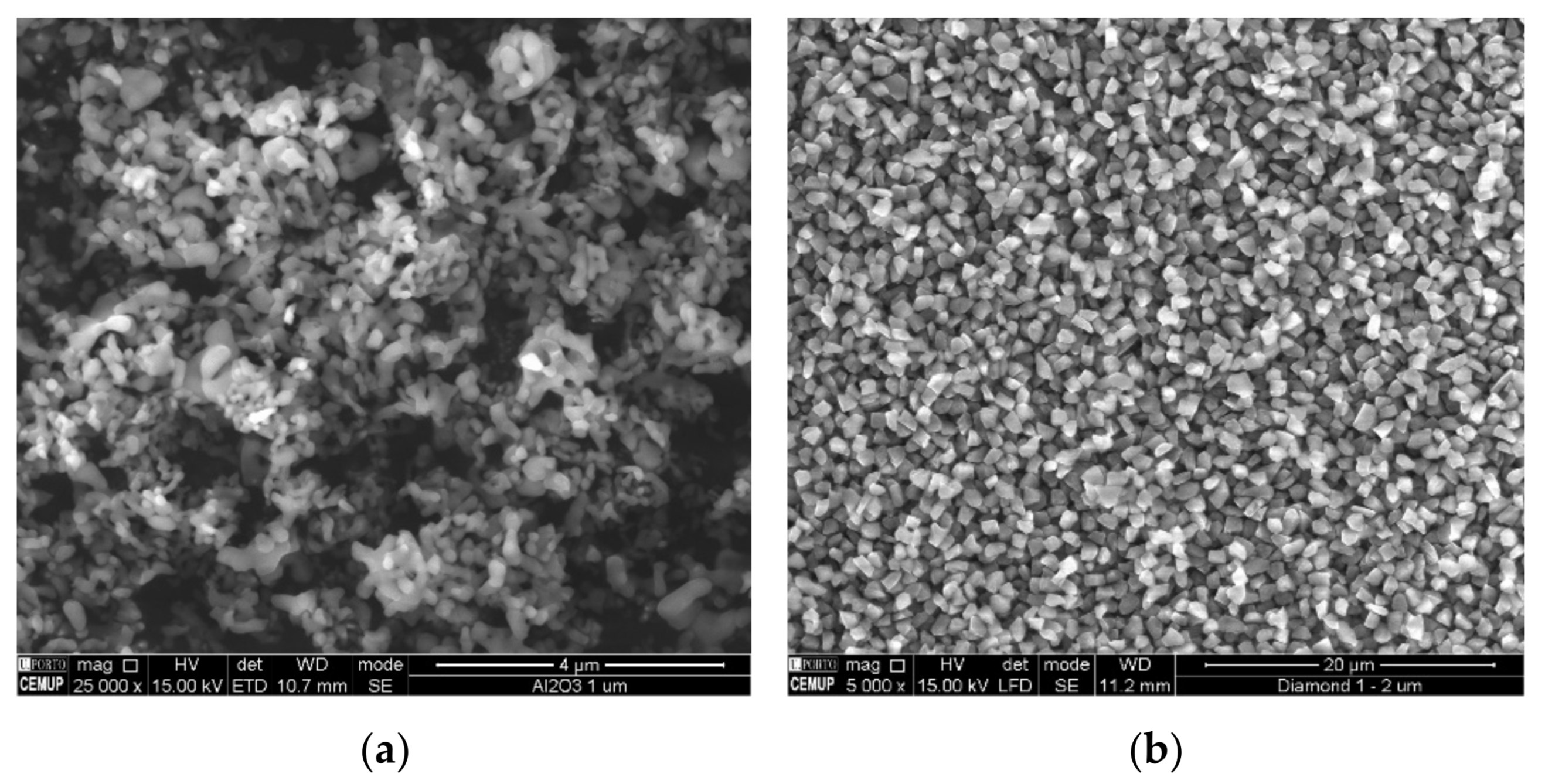 Materials 14 00668 g002