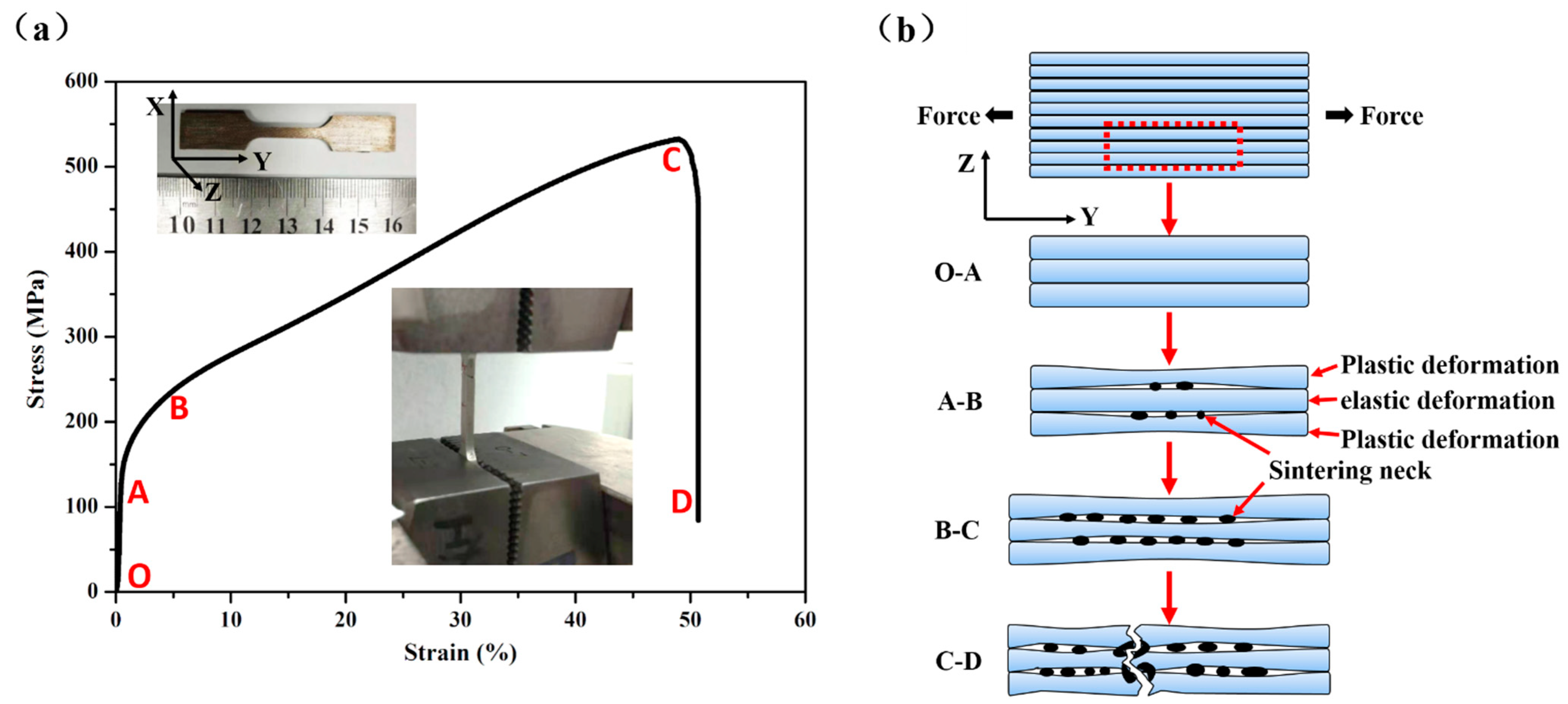 Materials 14 00677 g008