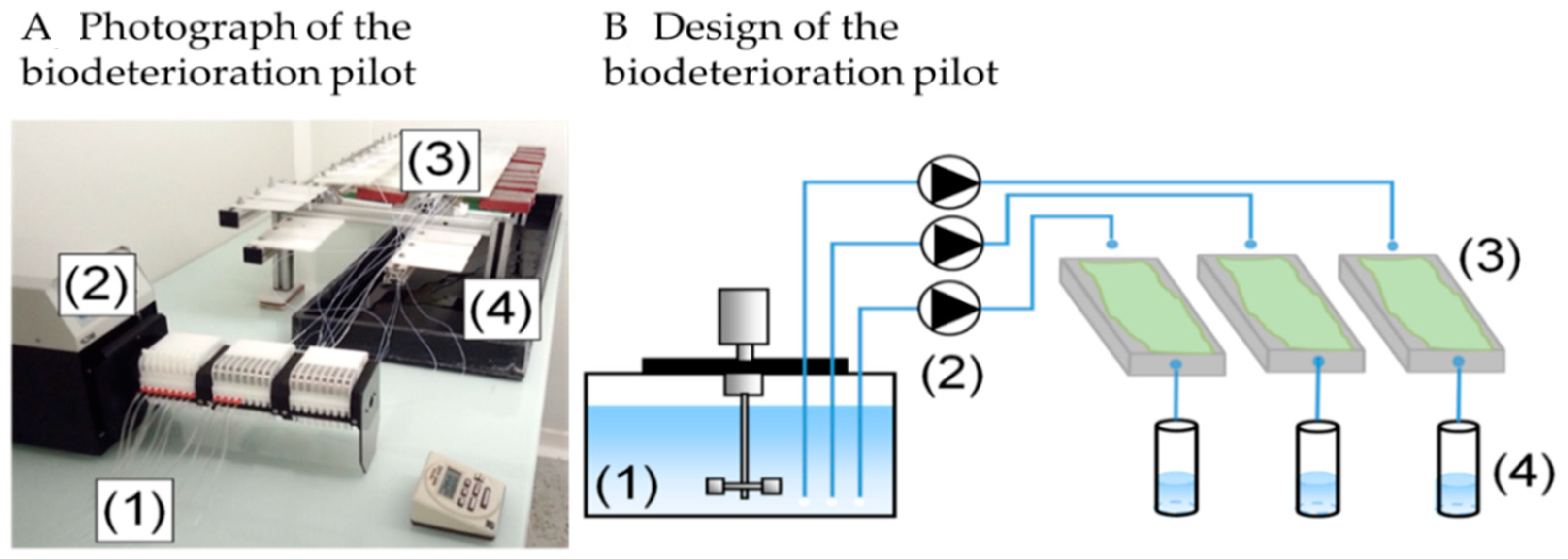Materials 14 00686 g002