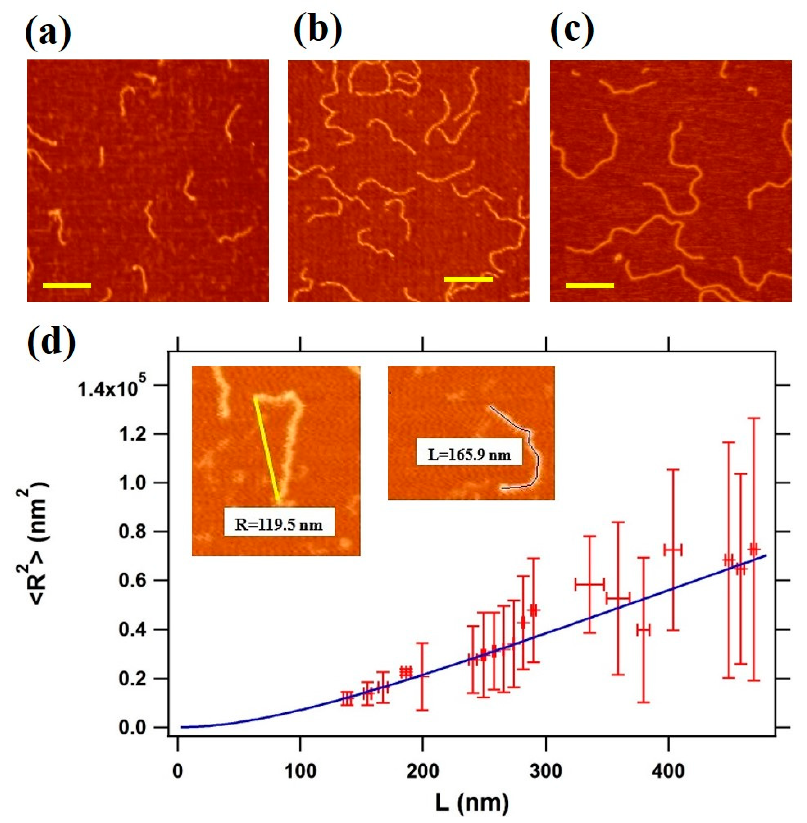 Materials 14 00687 g002