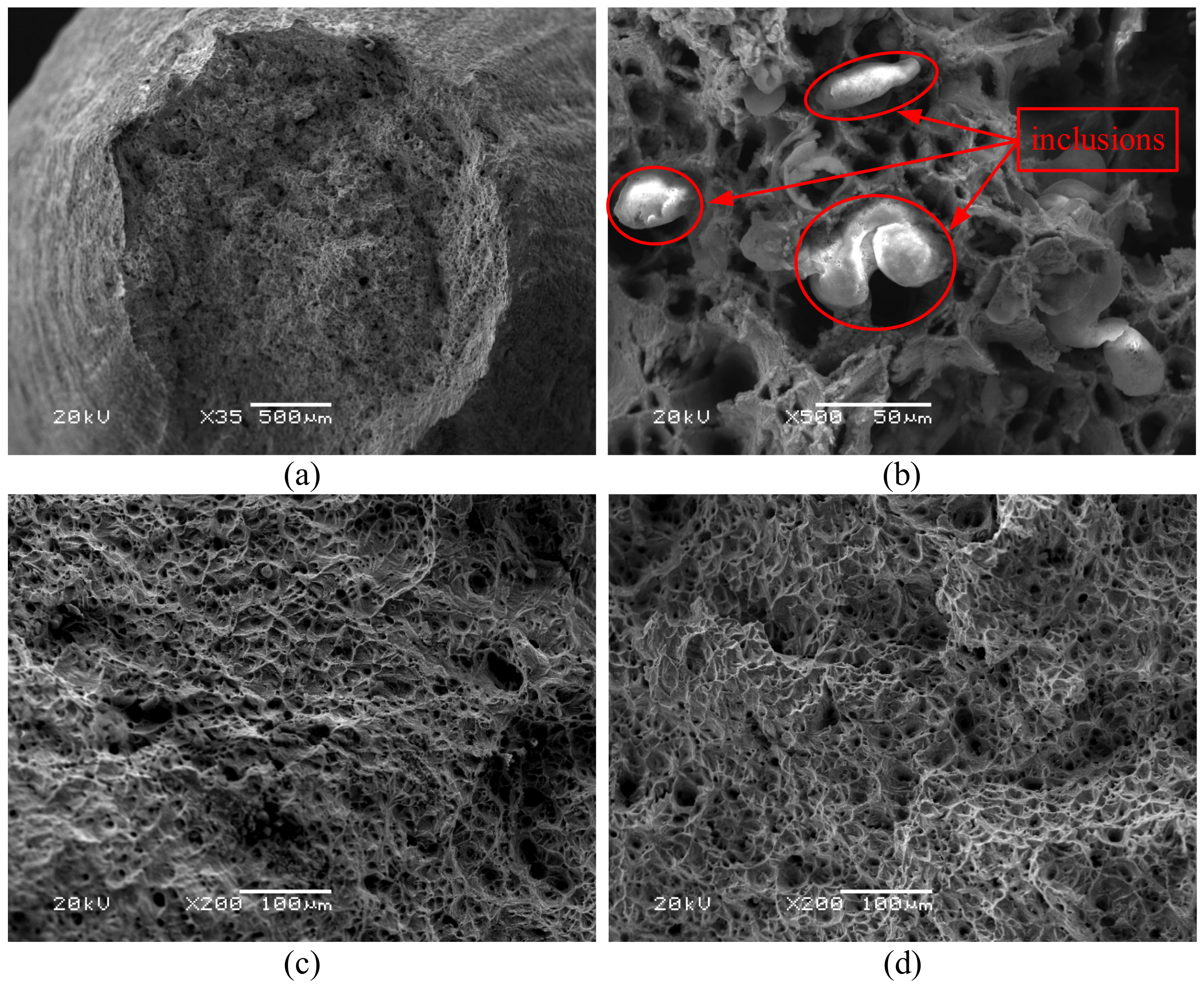 Materials 14 00695 g013