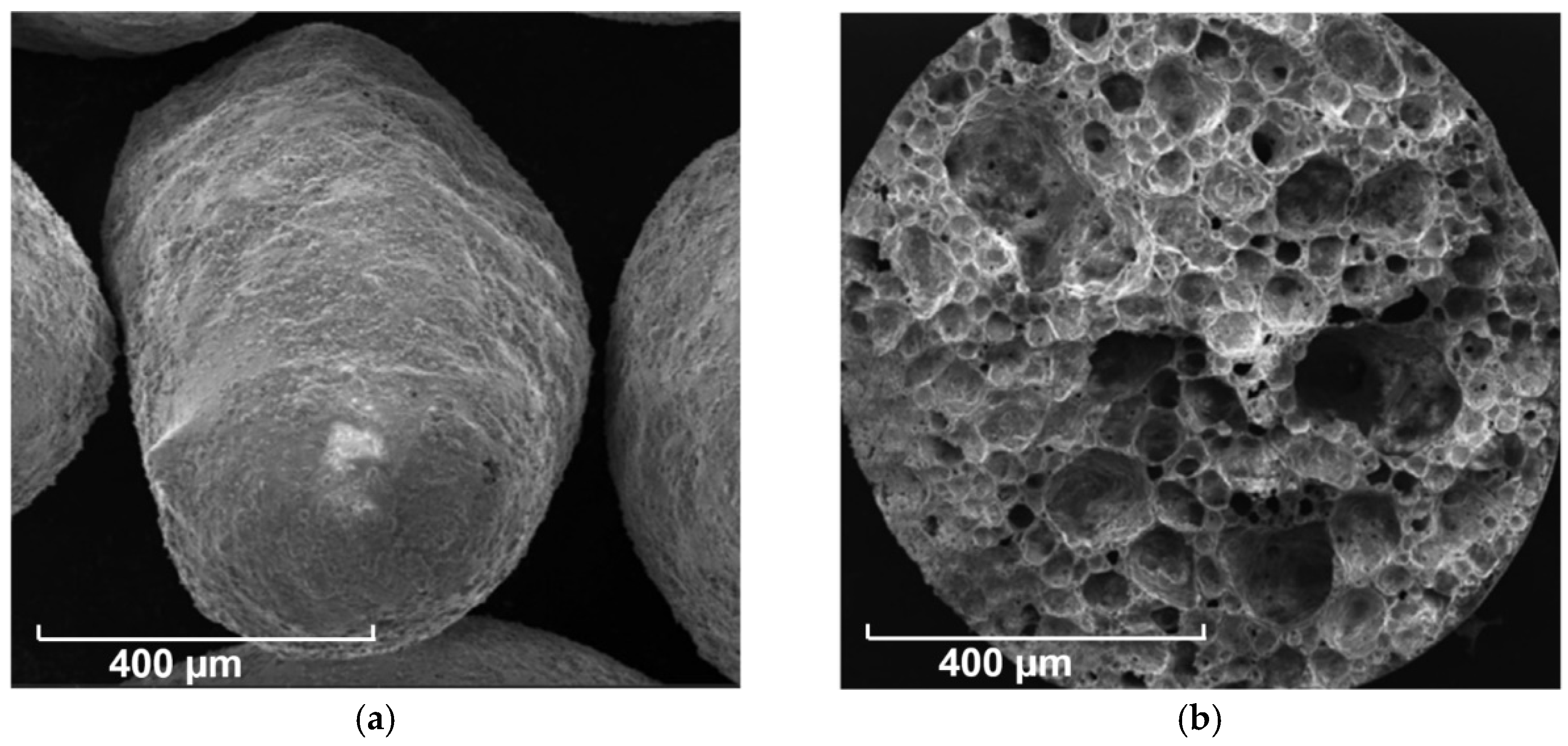 Materials 14 00699 g003 Materials 14 00699 g003