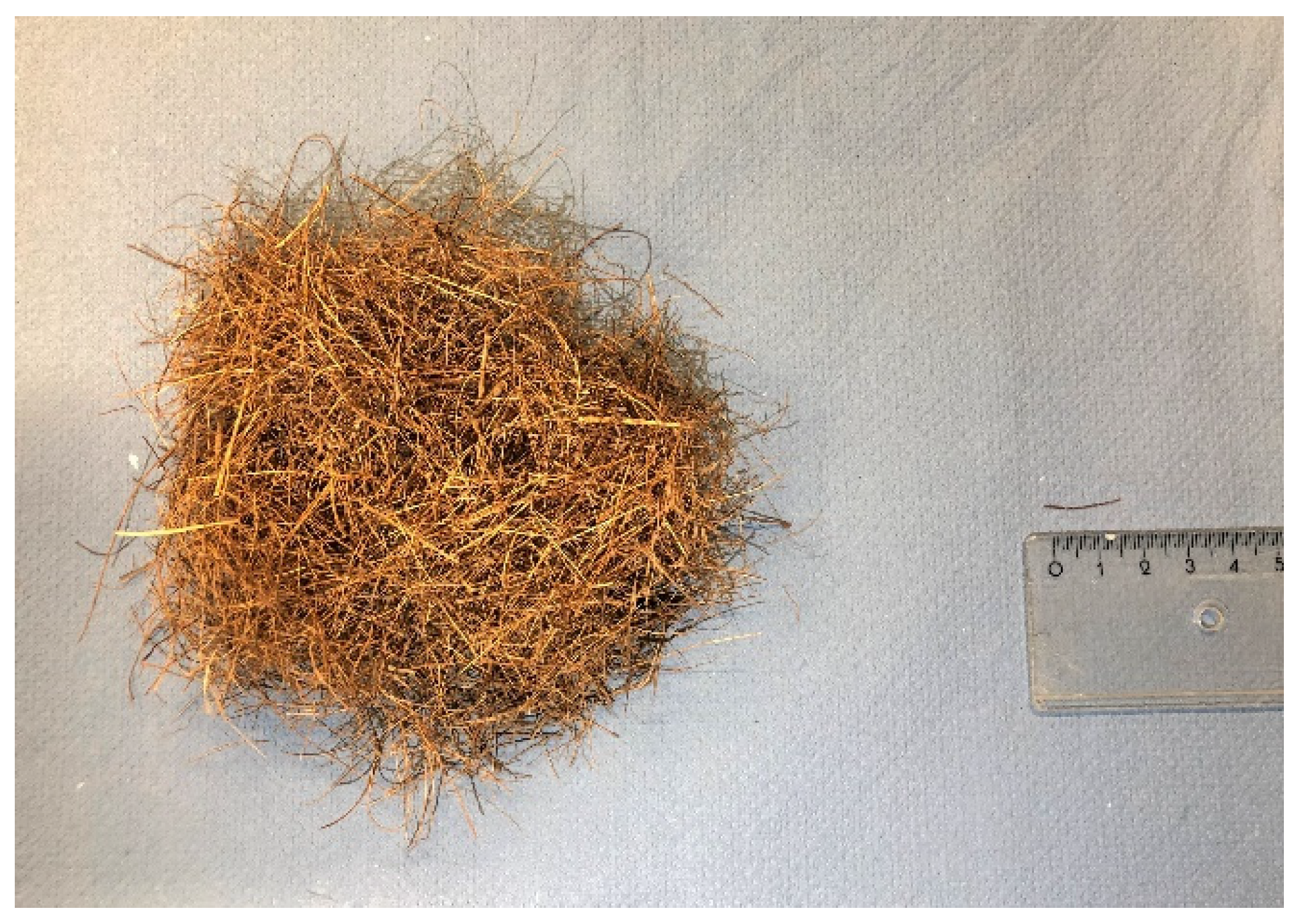 Materials 14 00699 g004 Materials 14 00699 g004