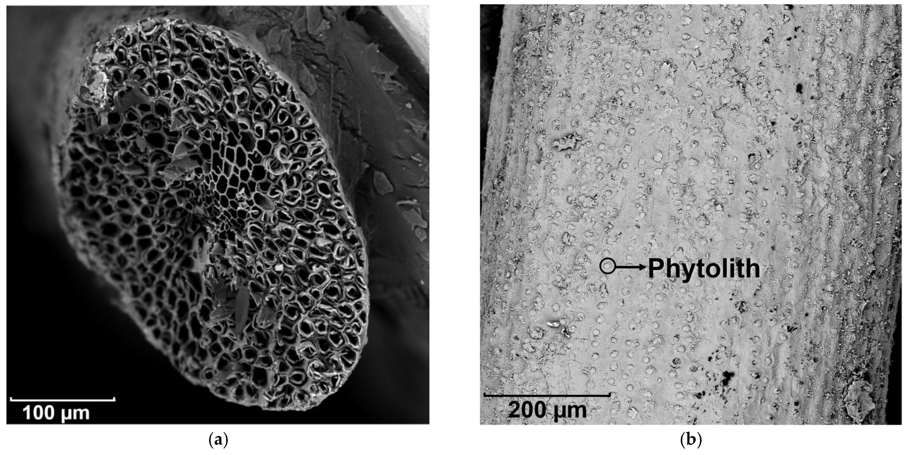 Materials 14 00699 g006a Materials 14 00699 g006a