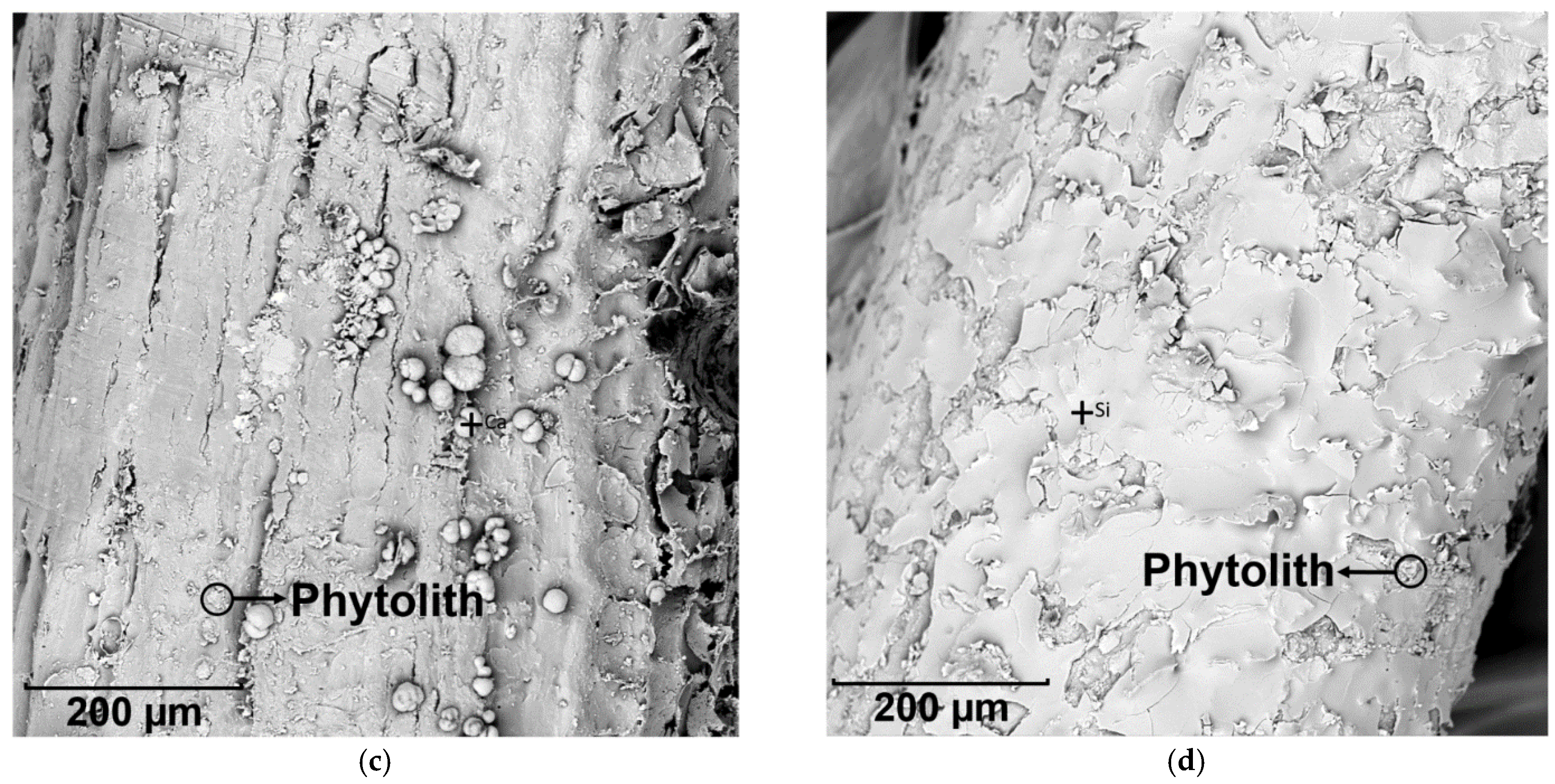 Materials 14 00699 g006b Materials 14 00699 g006b