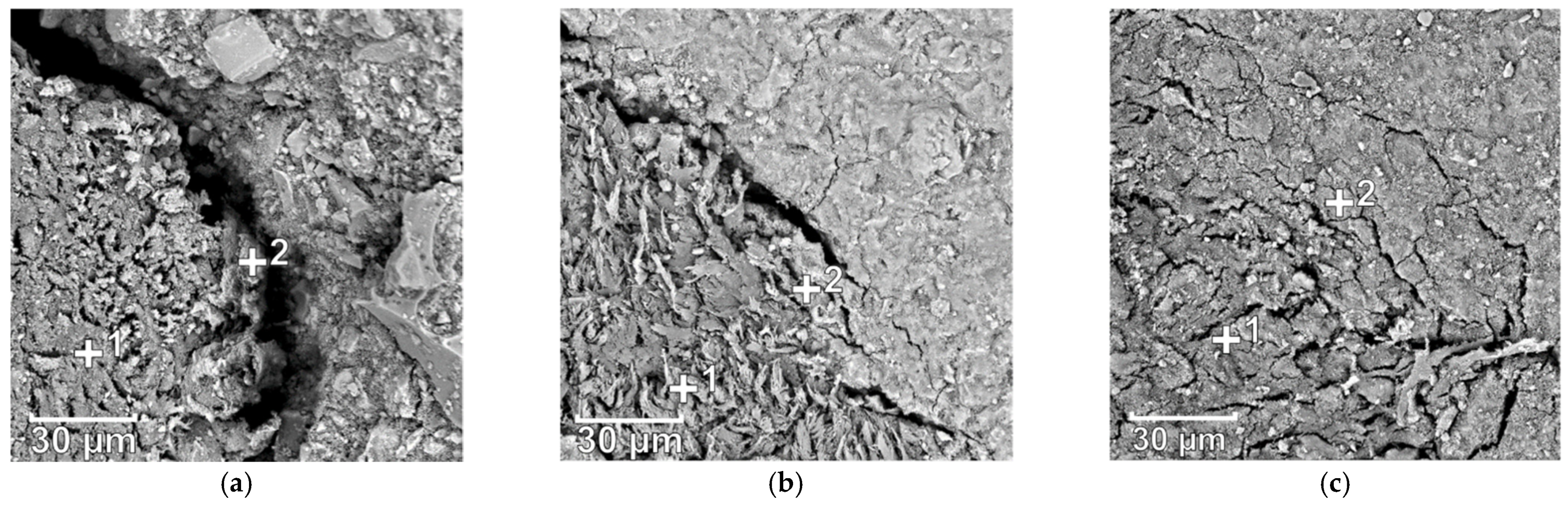 Materials 14 00699 g008 Materials 14 00699 g008